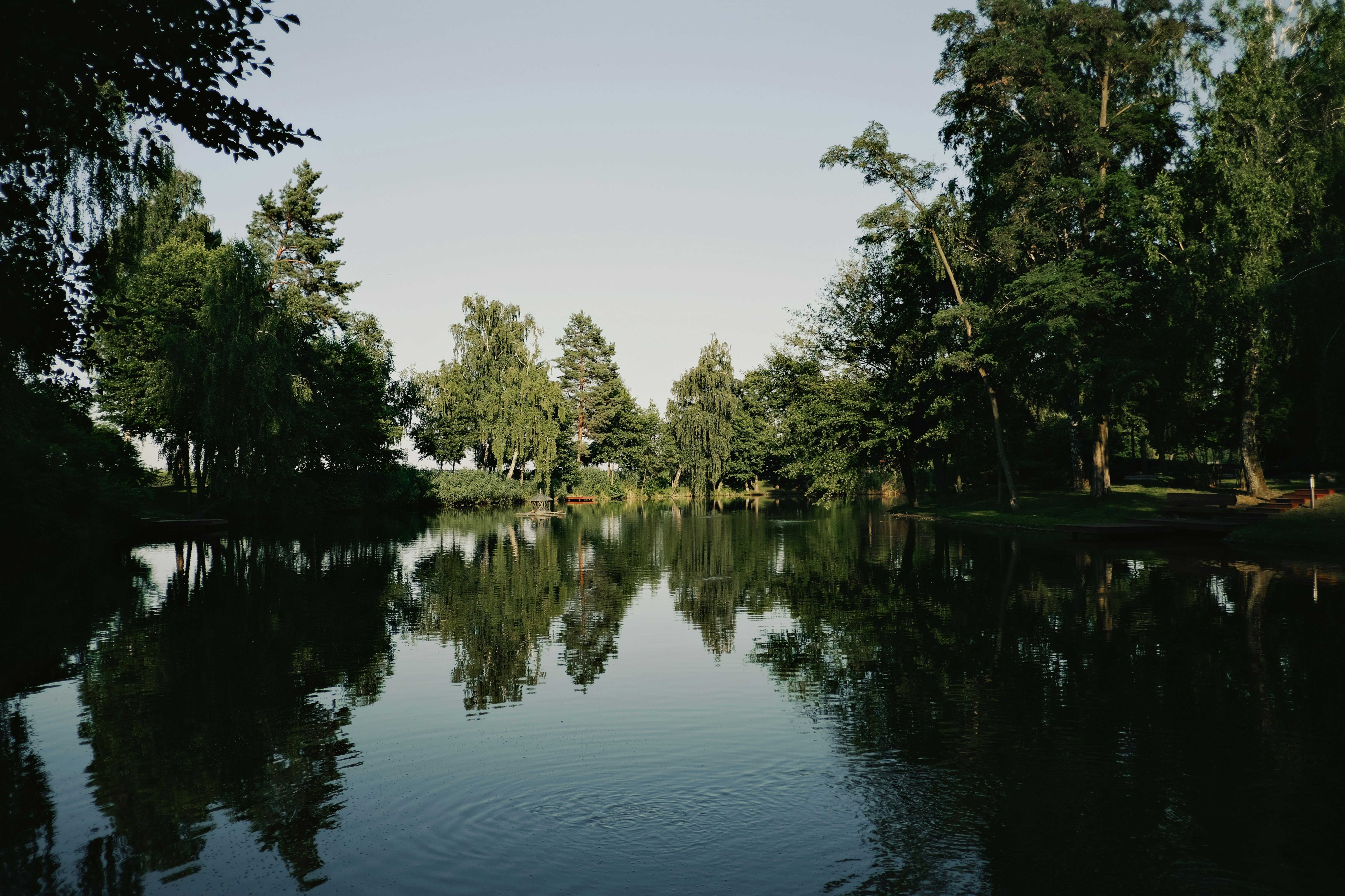 Photo by egorkomarov