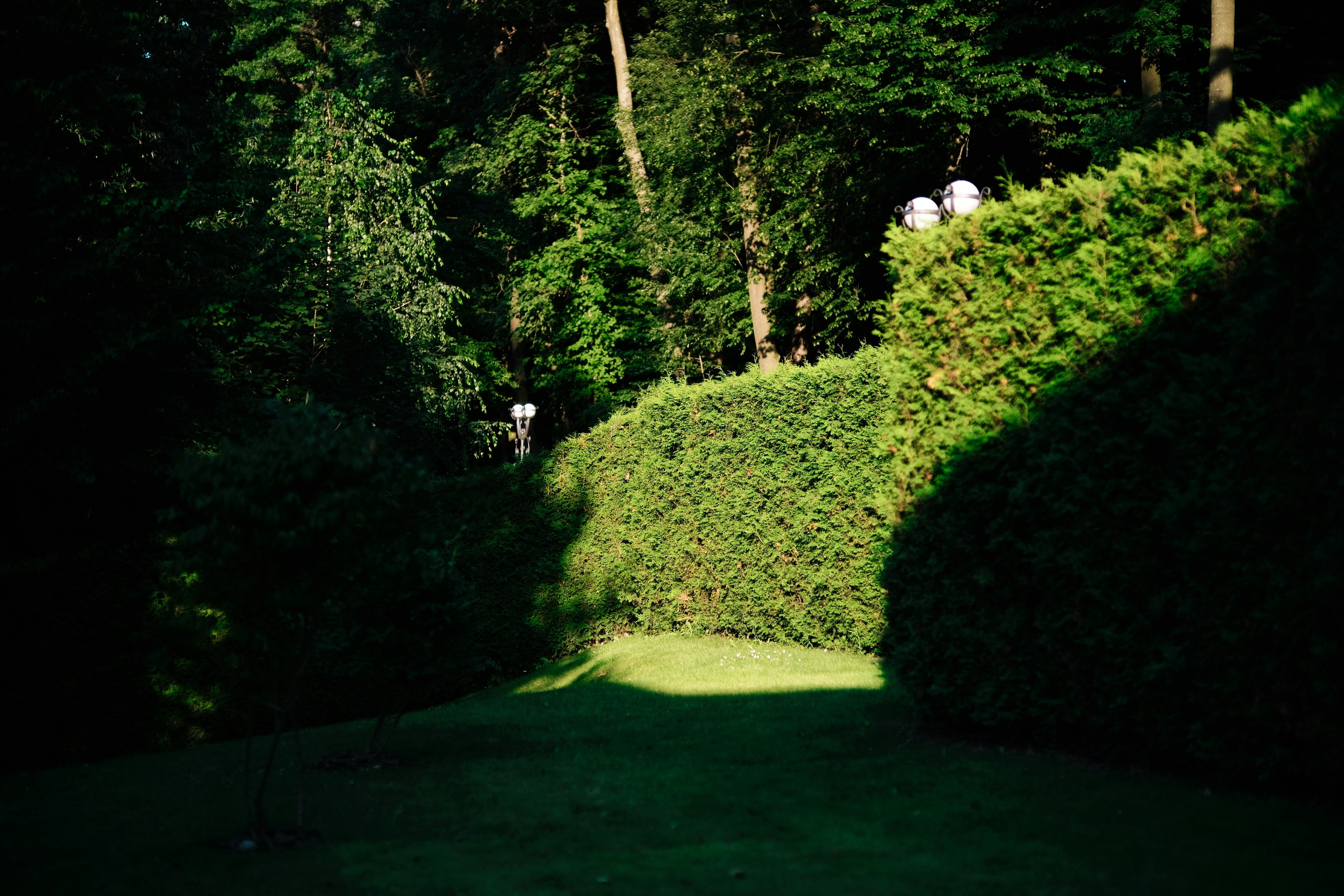 Photo by egorkomarov