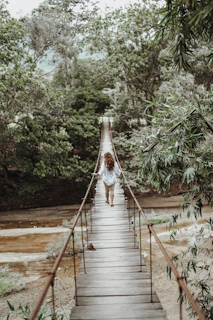 brown wooden bridge in the middle of green trees