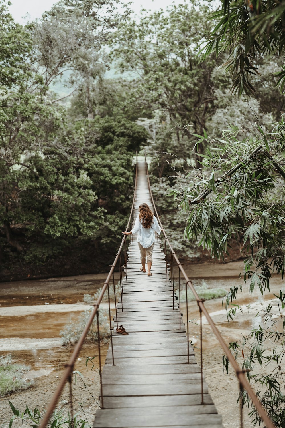 brown wooden bridge in the middle of green trees