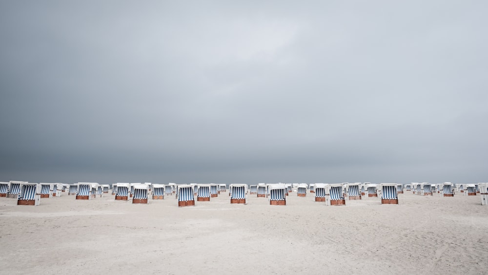 people on beach during daytime