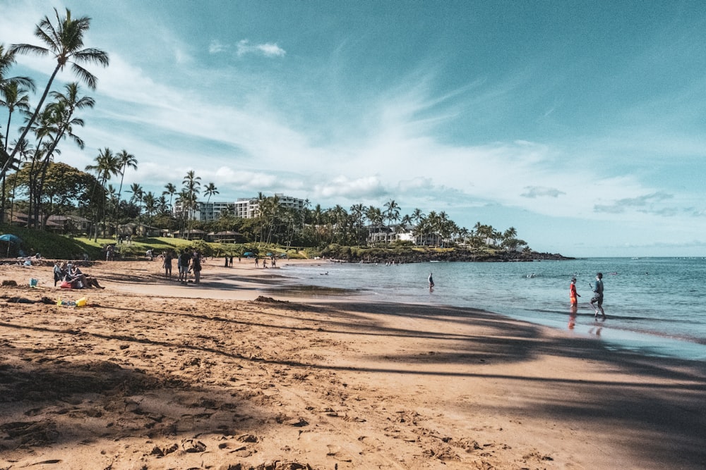 people on beach during daytime