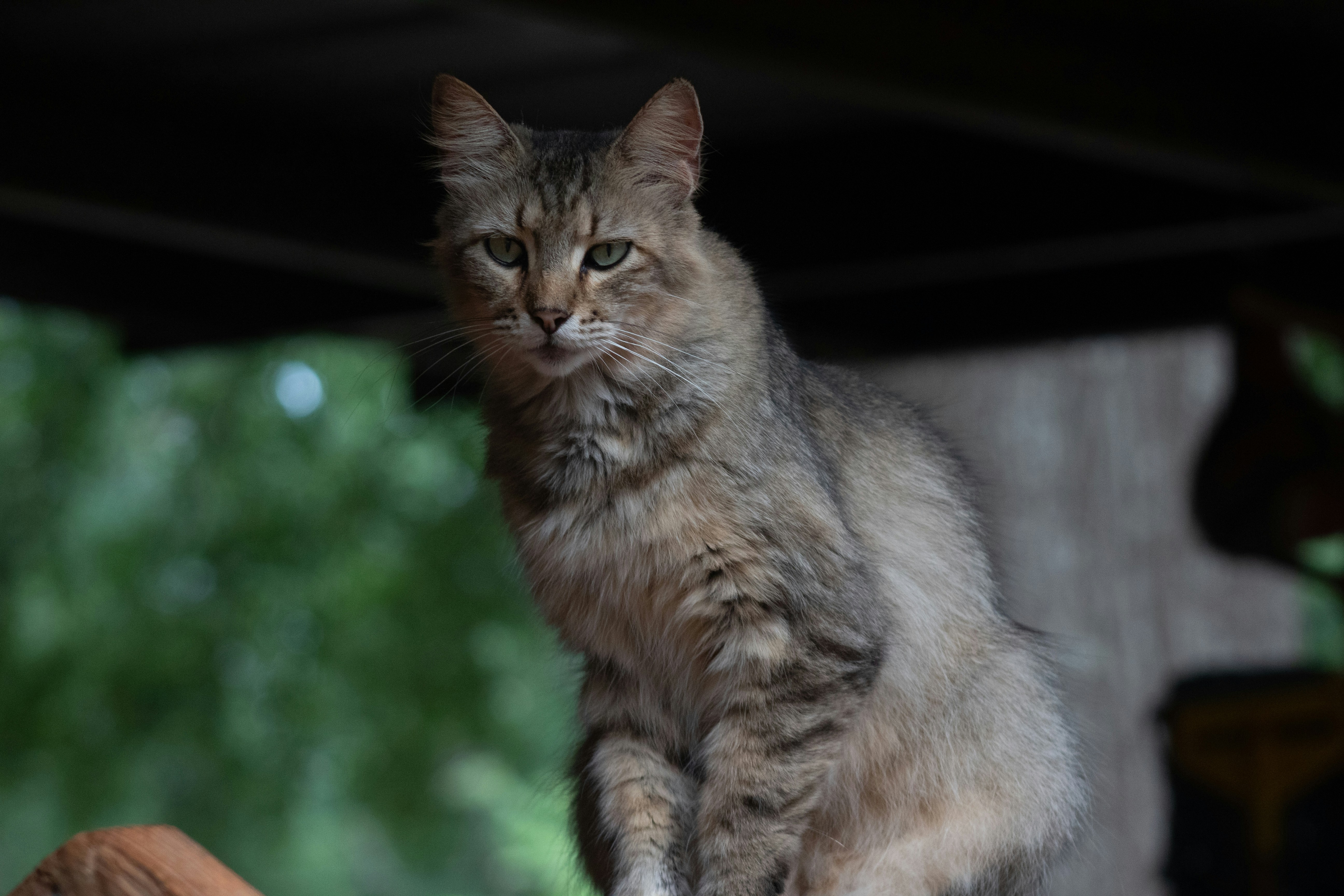 Photo by snappedbyshaun