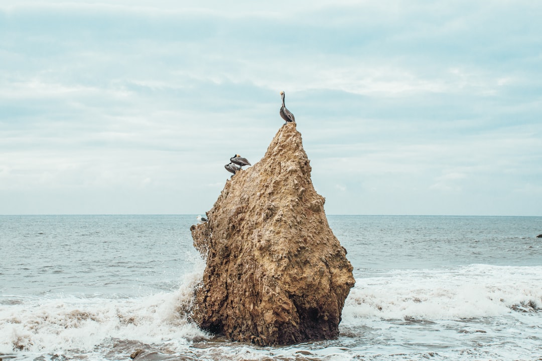 person sitting on brown rock formation on sea water during daytime