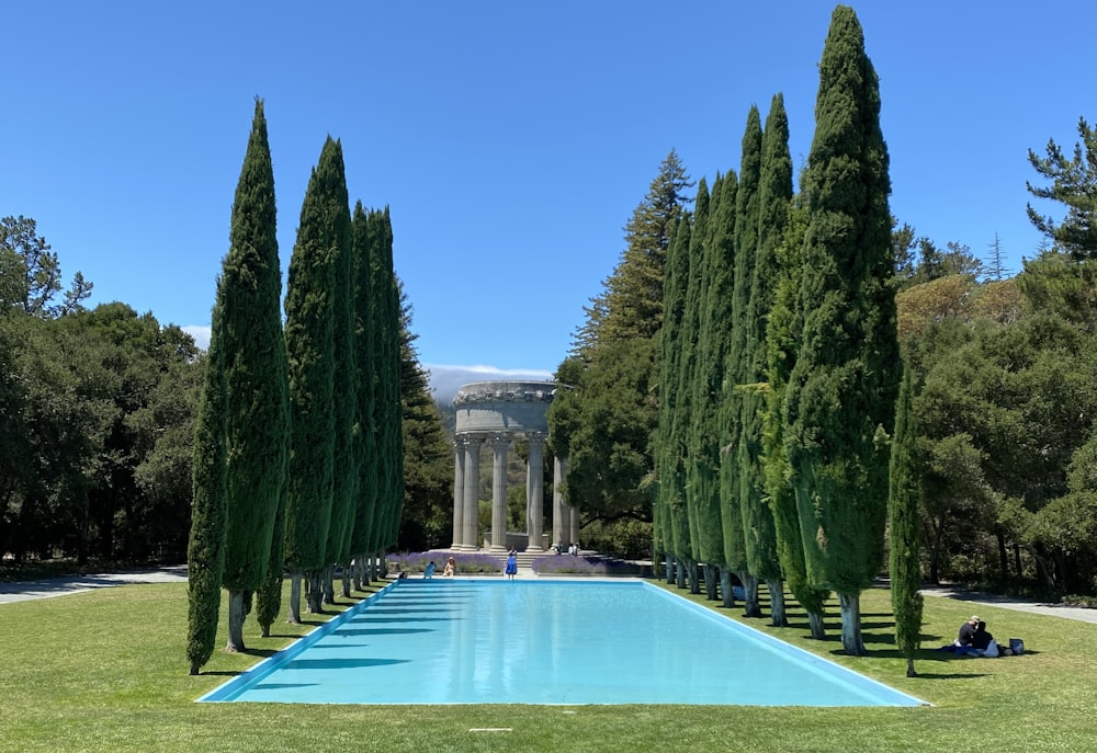 Árboles verdes cerca de la piscina durante el día