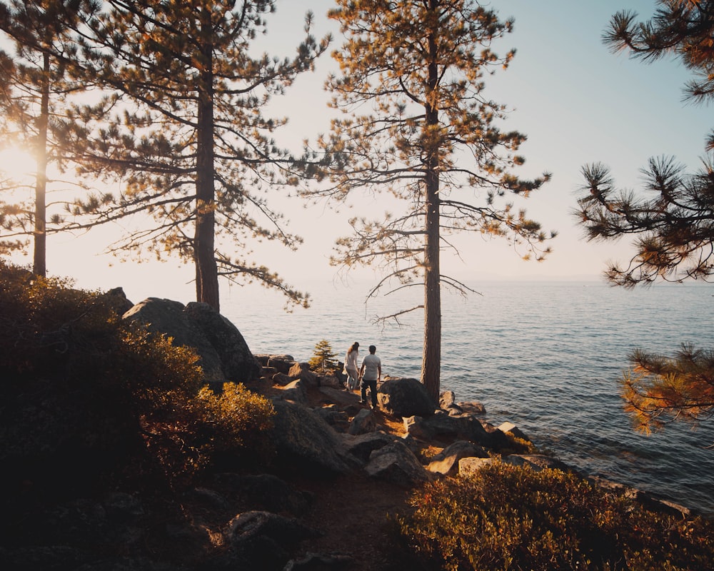 person sitting on rock near body of water during daytime