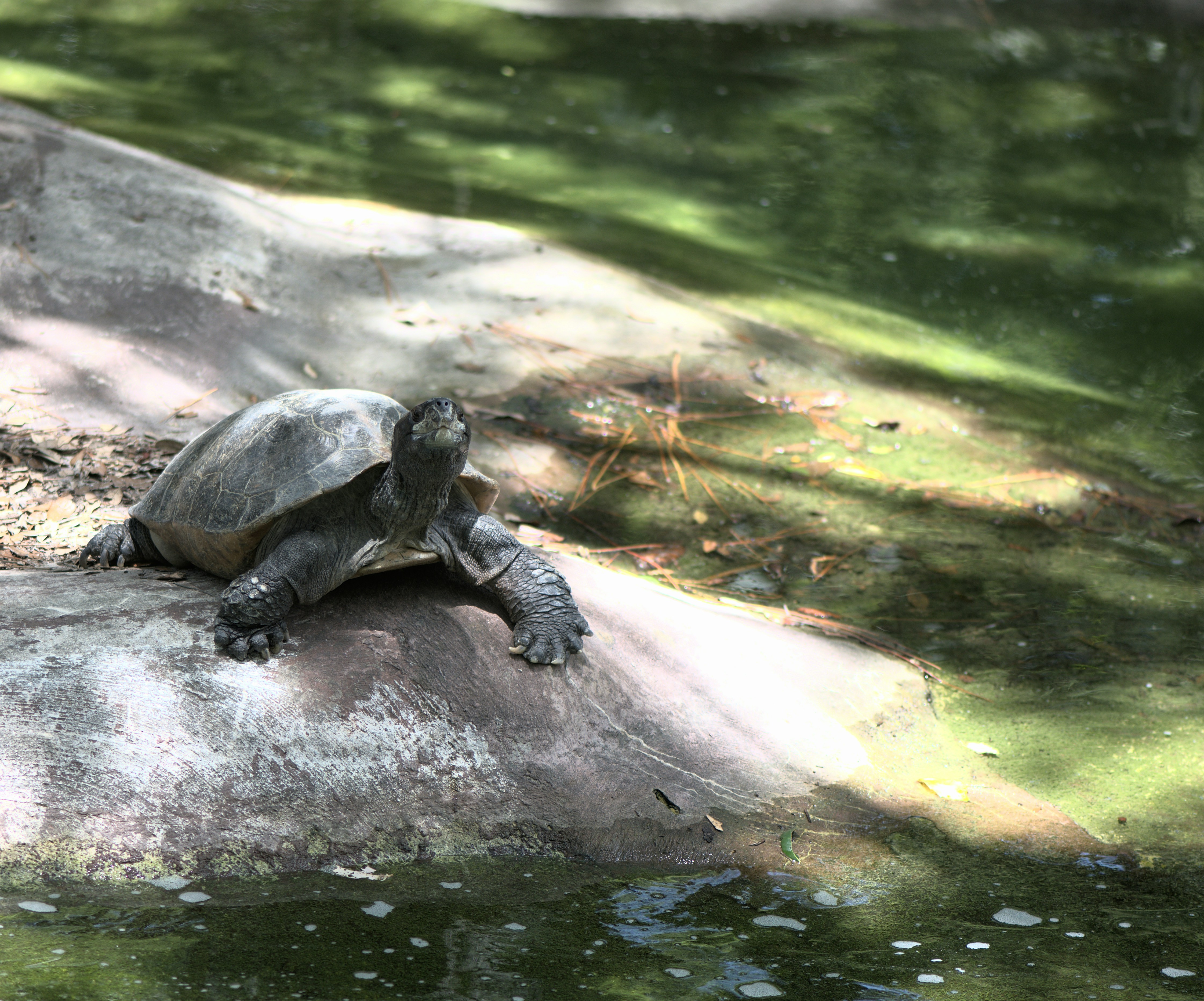 Photo by michael_barber