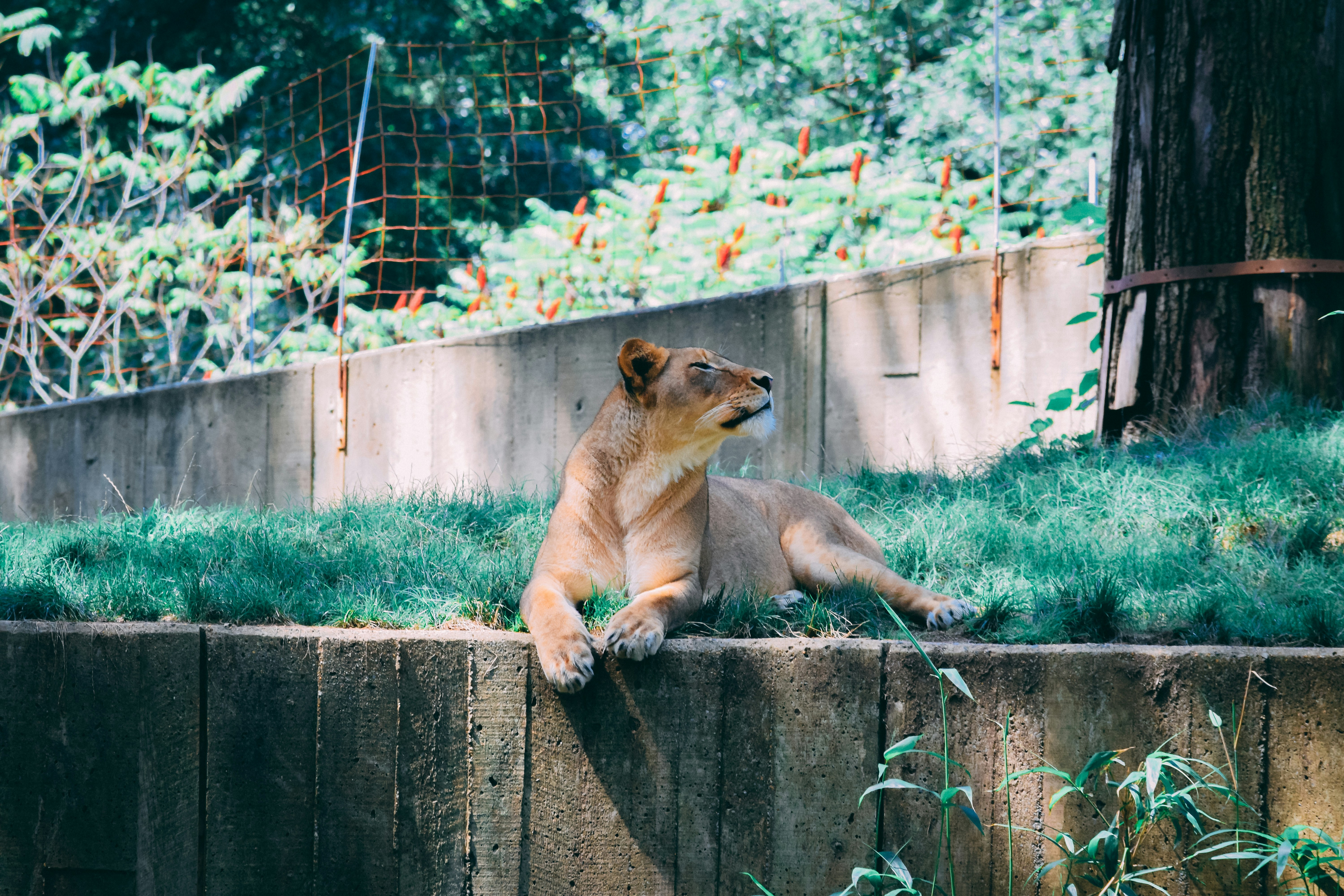 Night Shift Workers (image credits: unsplash)