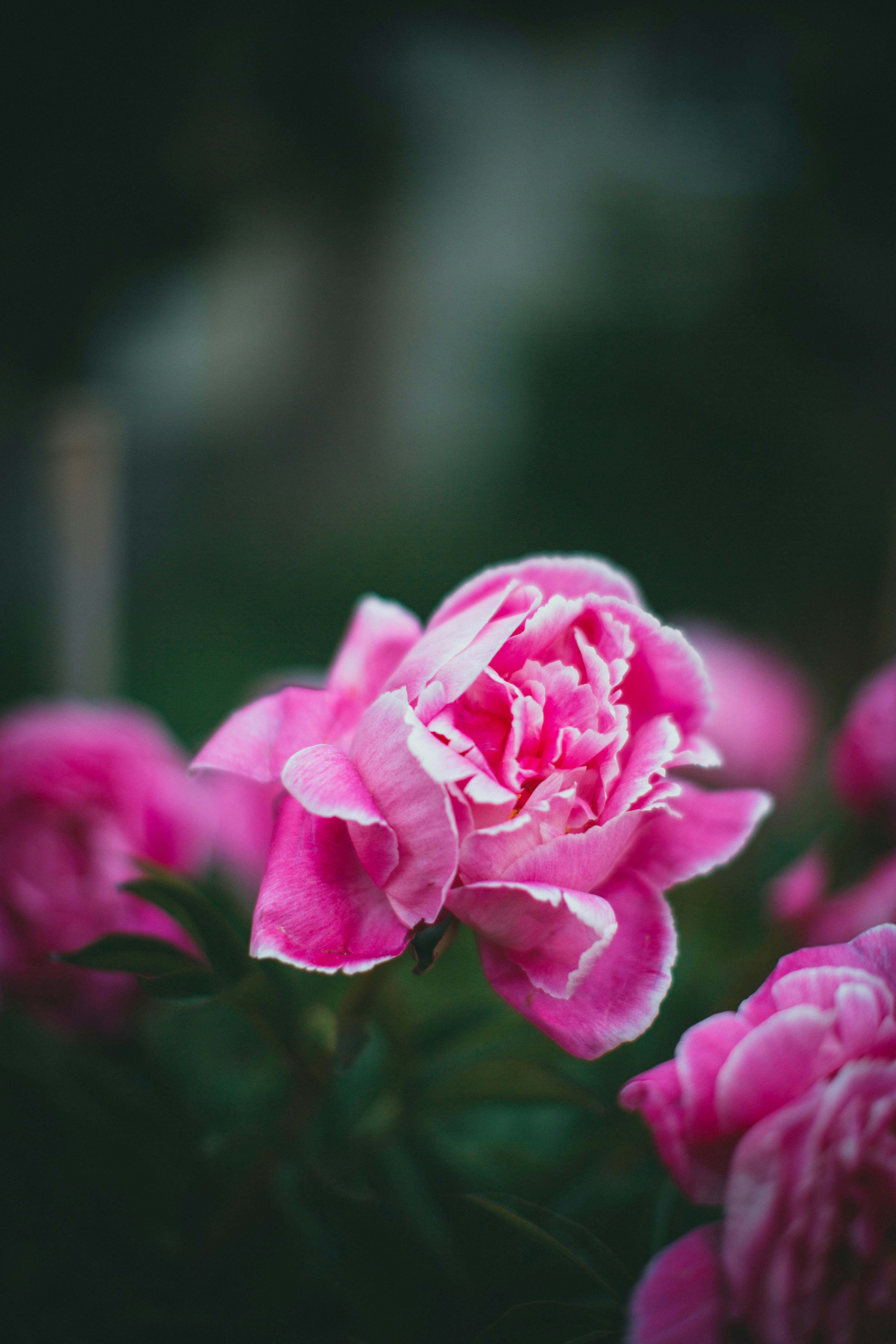 Photo by theshuttervision