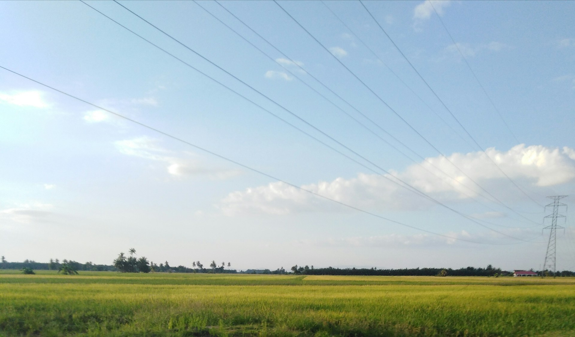 green grass field under blue sky during daytime