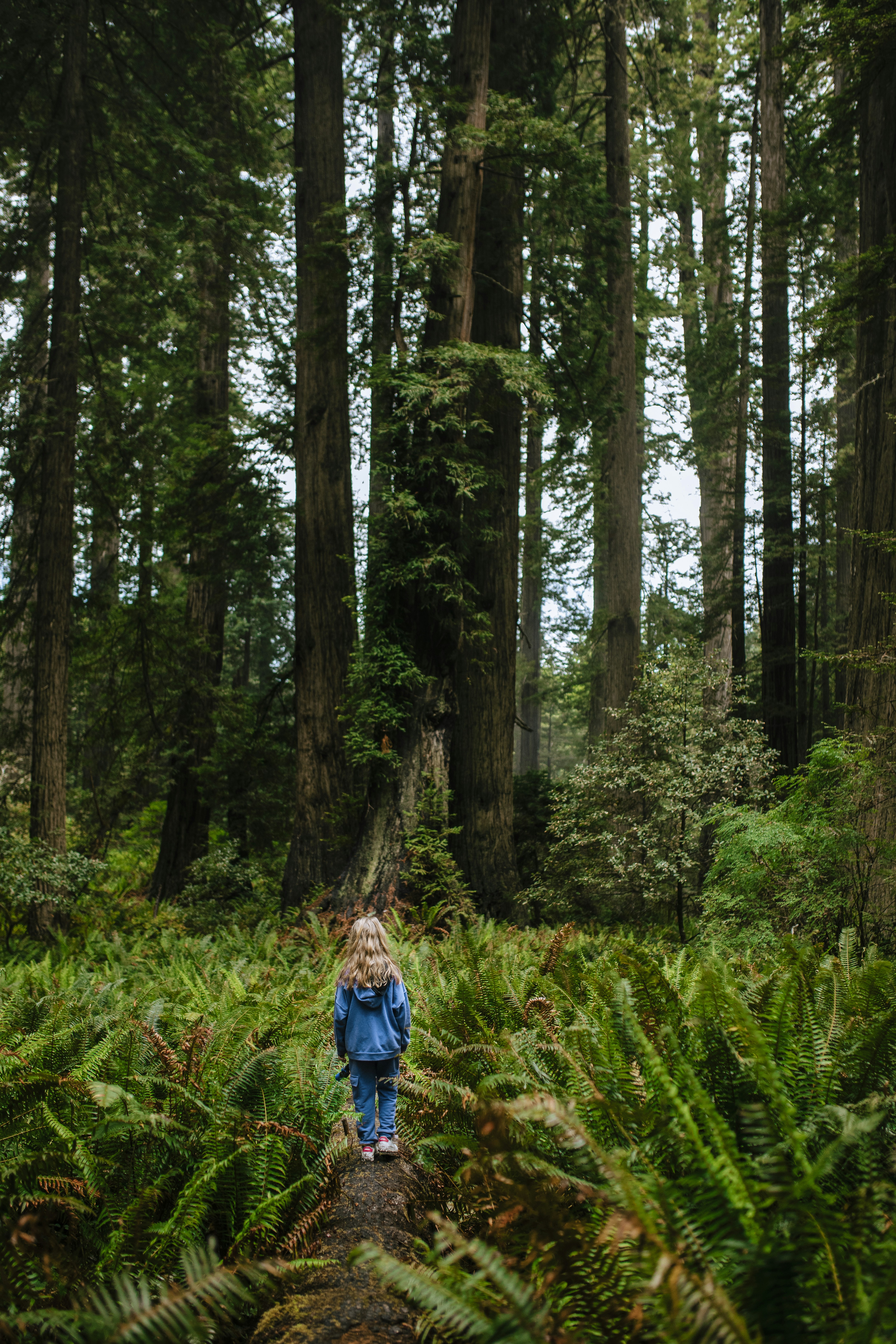 Photo by weekendtripcreator