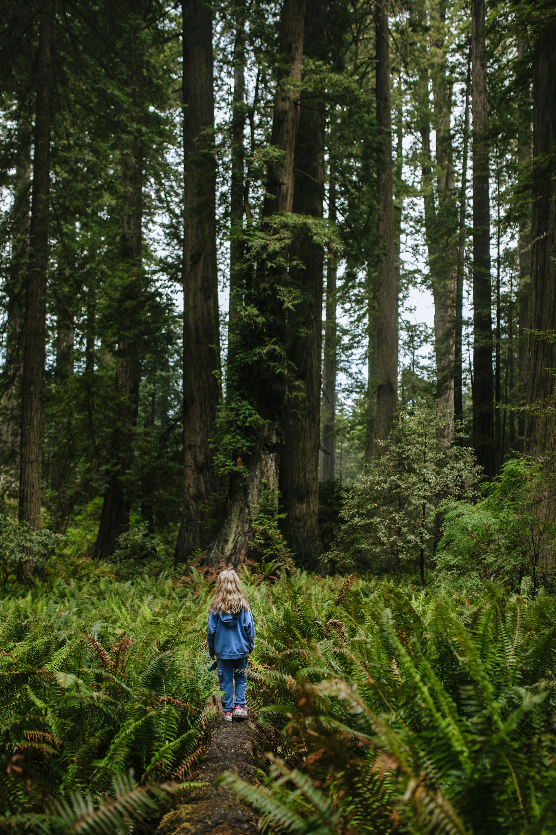 woman in blue jacket and blue denim jeans walking on forest during daytime