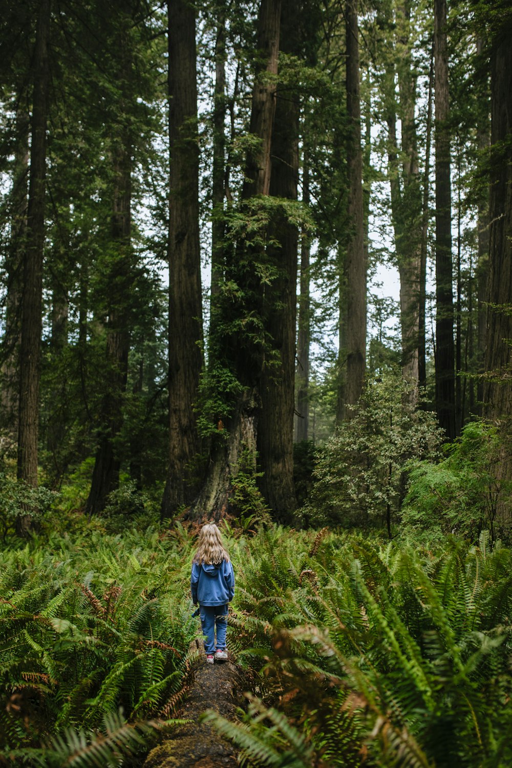 woman in blue jacket and blue denim jeans walking on forest during daytime