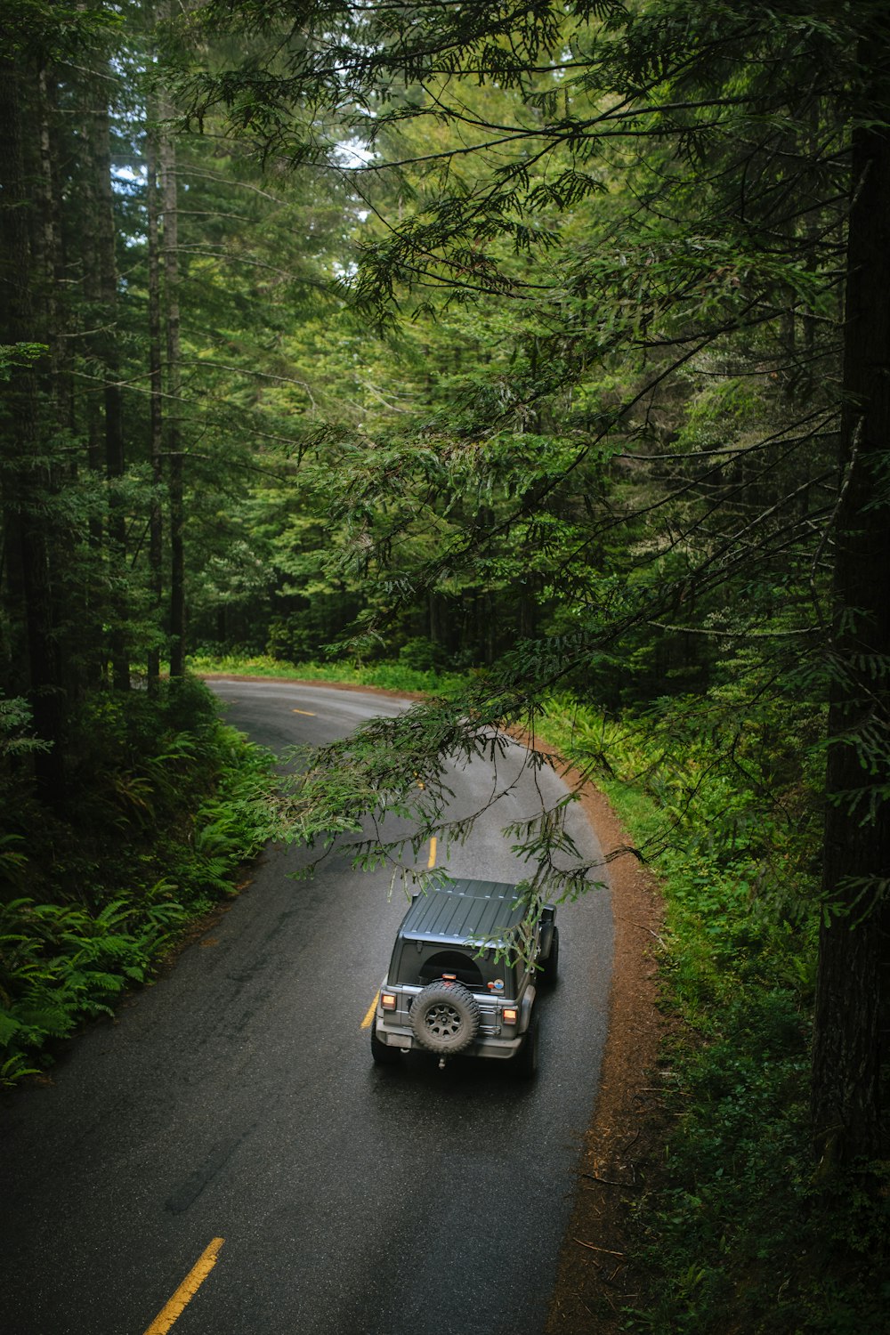 black suv on road in between trees during daytime