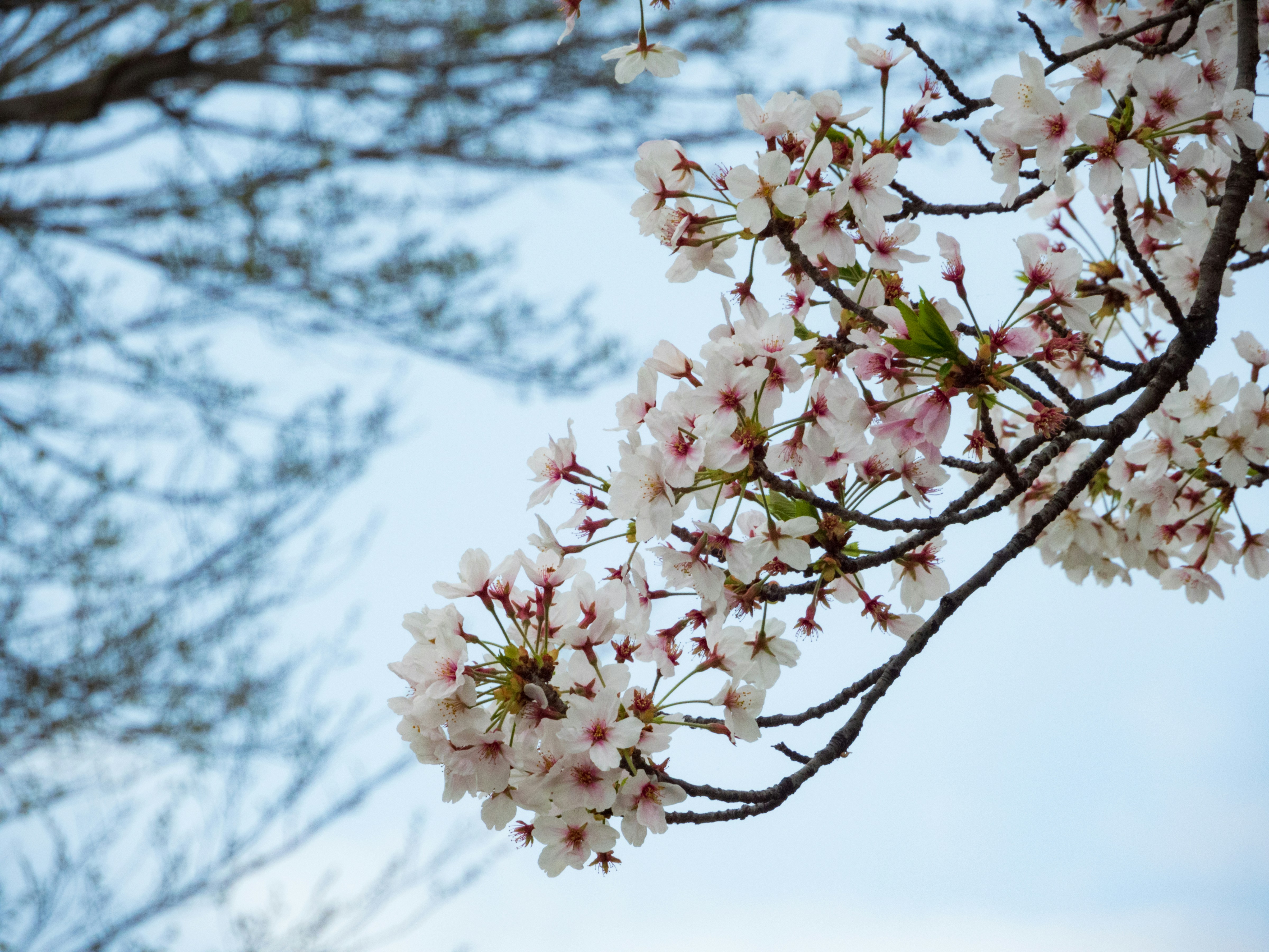 Photo by heppoko_yama