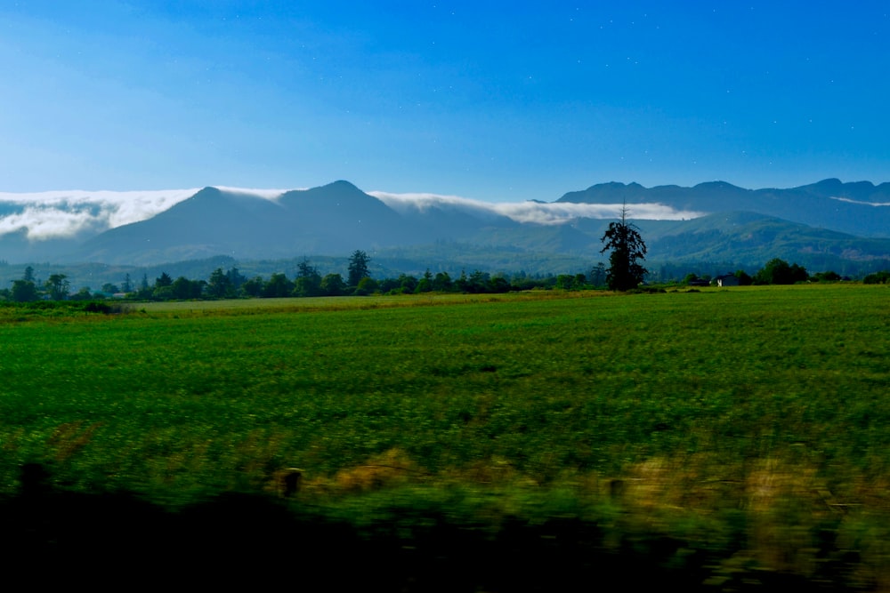 green grass field near mountain under blue sky during daytime