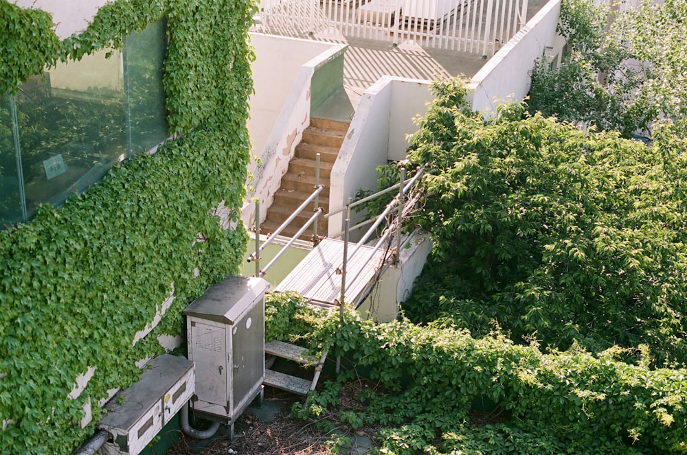낮 동안 흰색 콘크리트 건물 옆에 녹색 식물