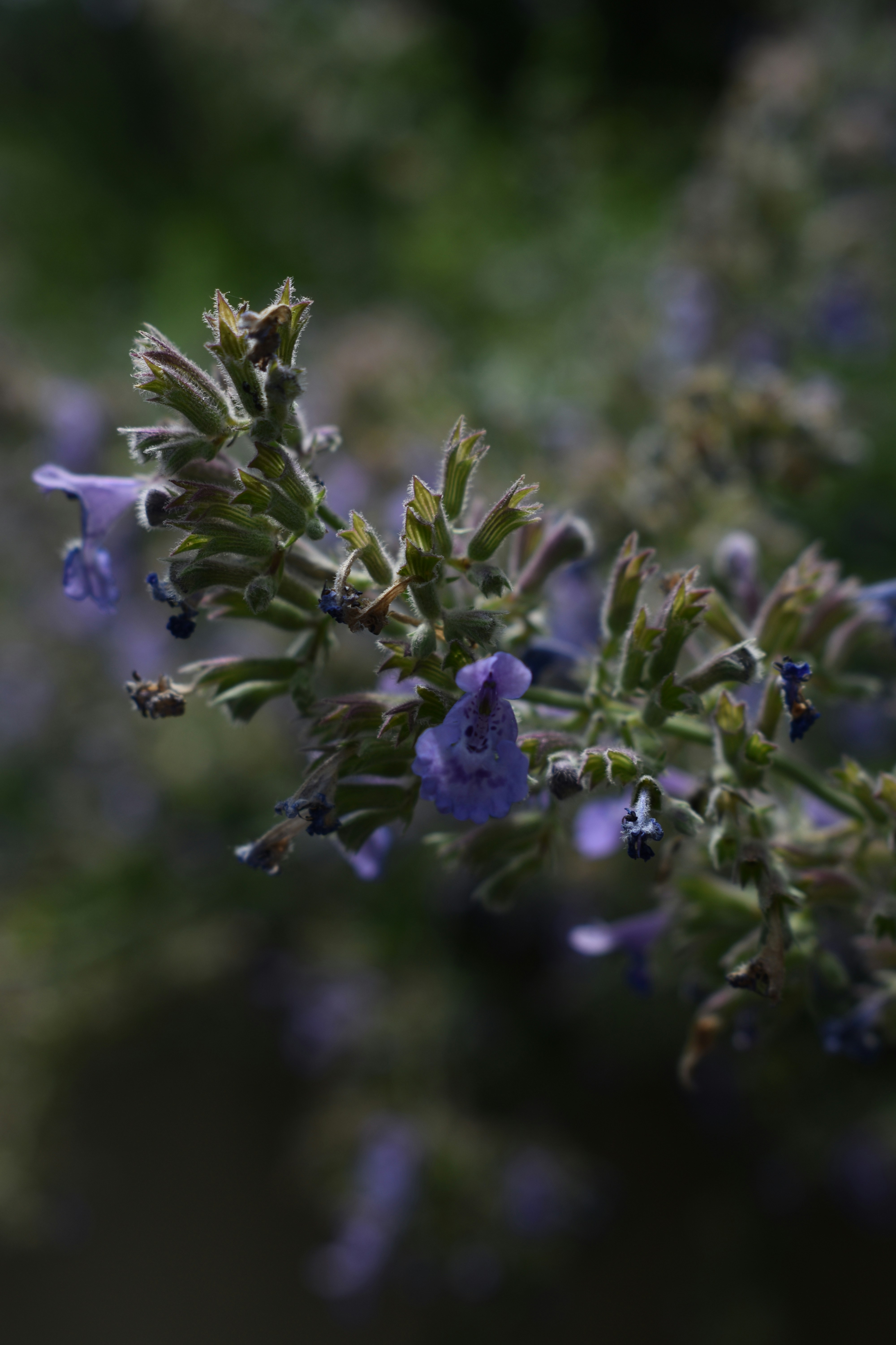 Photo by pictures102