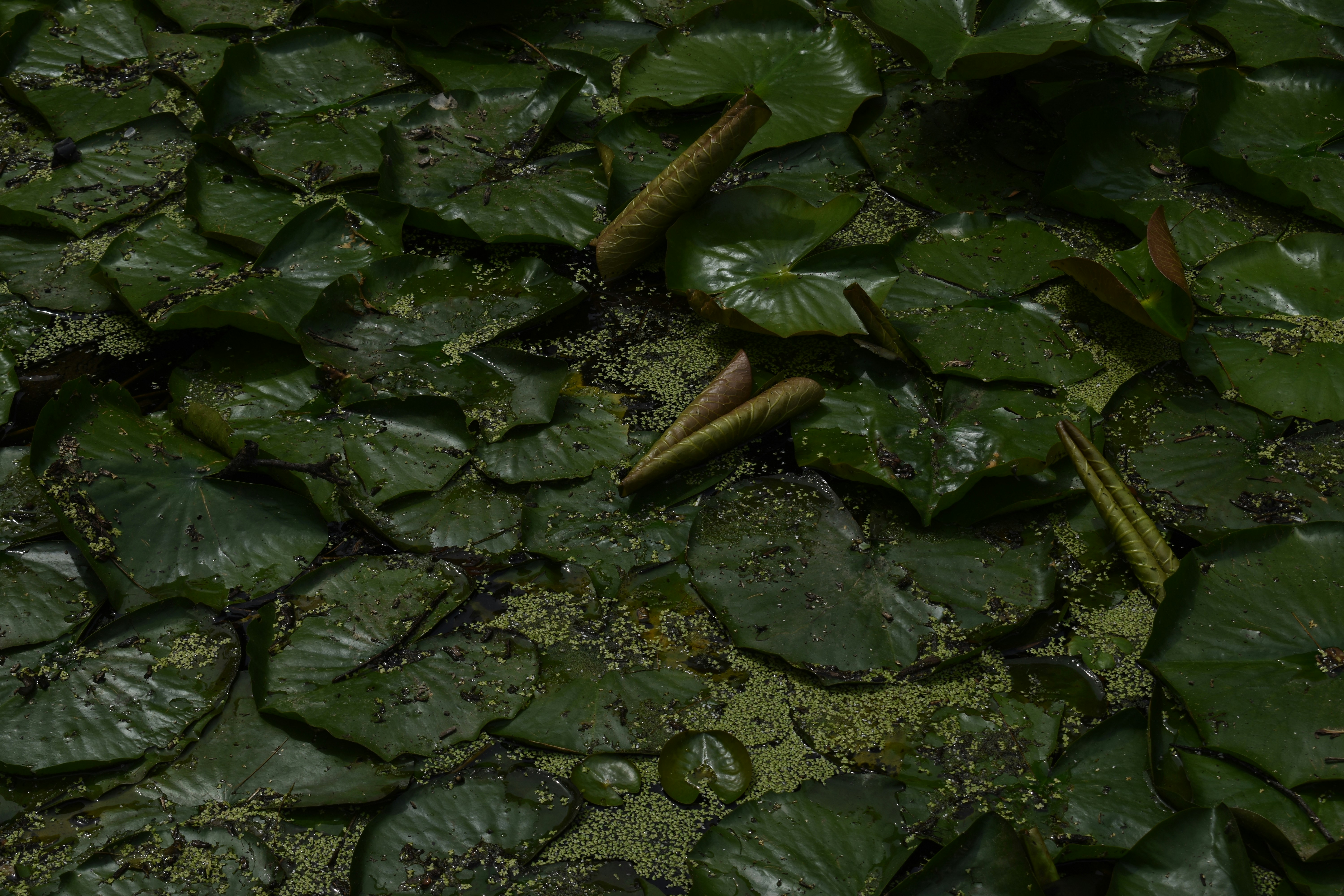 Photo by pictures102