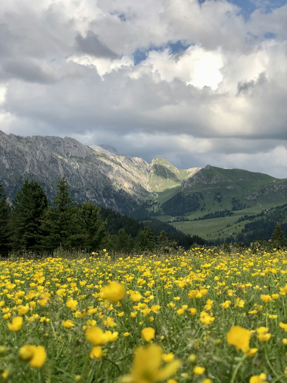 Champ de fleurs jaunes près des montagnes vertes sous les nuages blancs pendant la journée