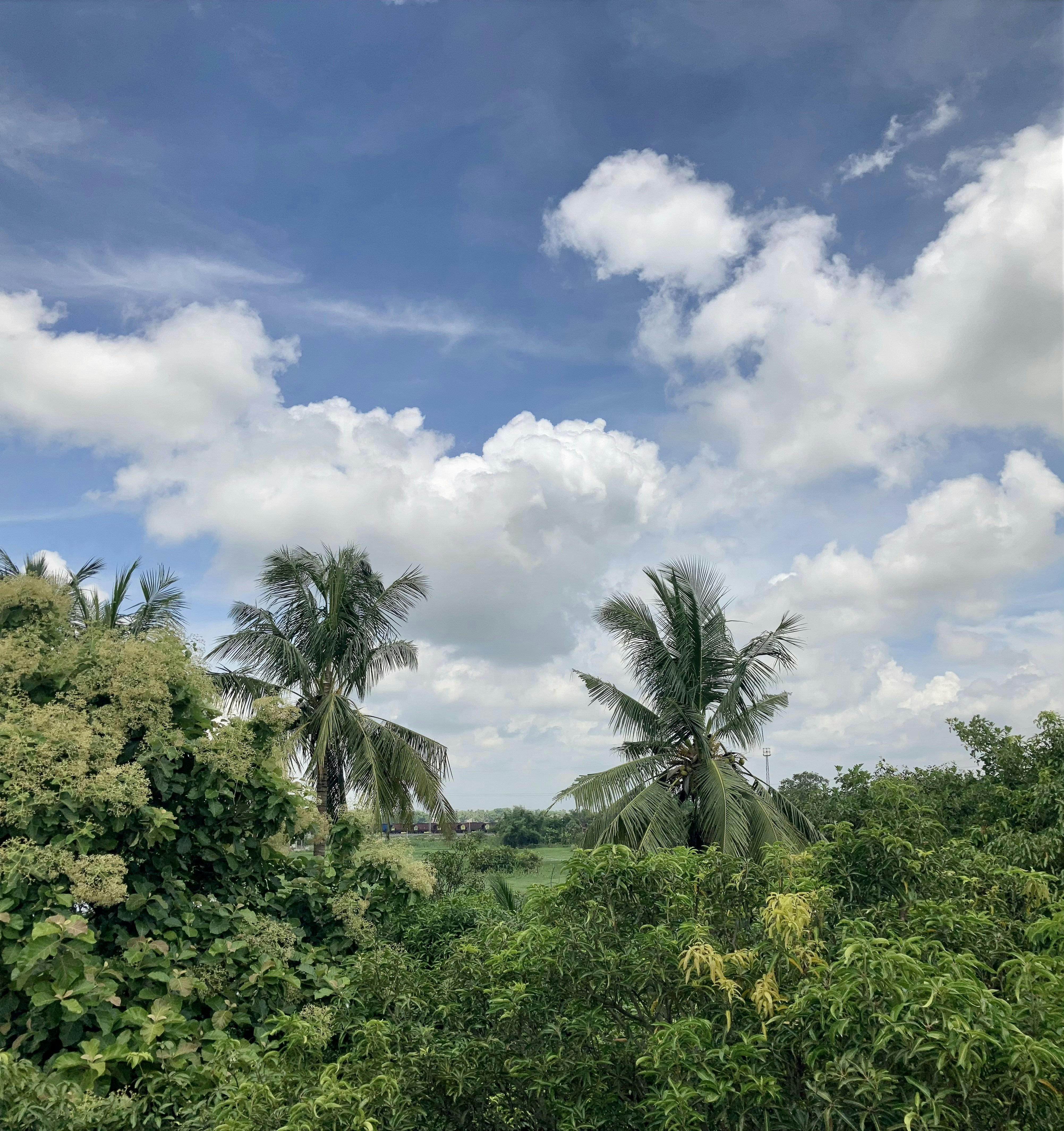 Rezervujte svůj výlet