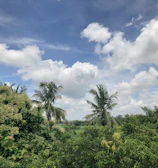 A scenic view of a Philippine medical university with palm trees and bright blue sky.