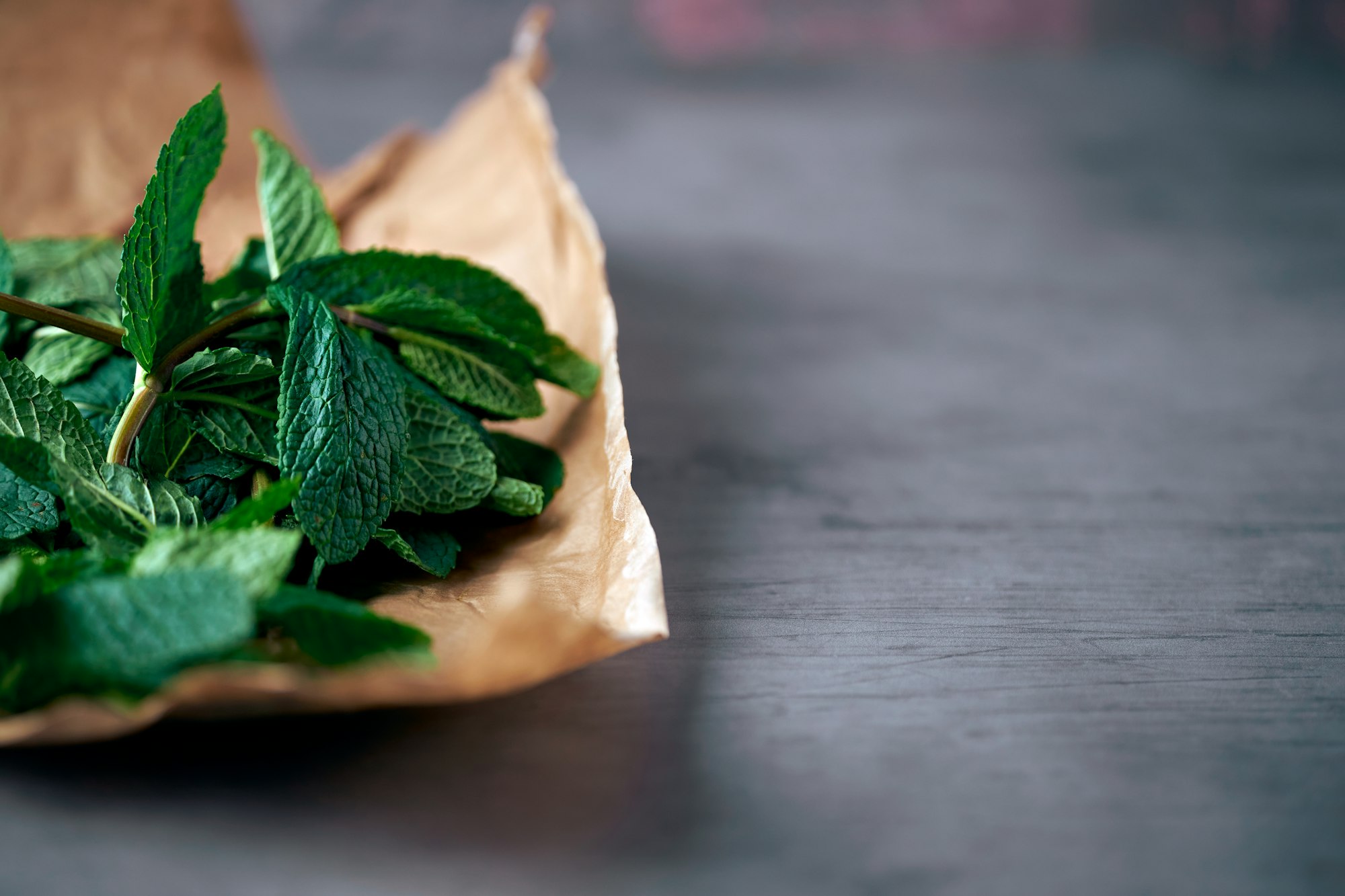 Just fresh mint. Selective focus on mint leaves. Close up