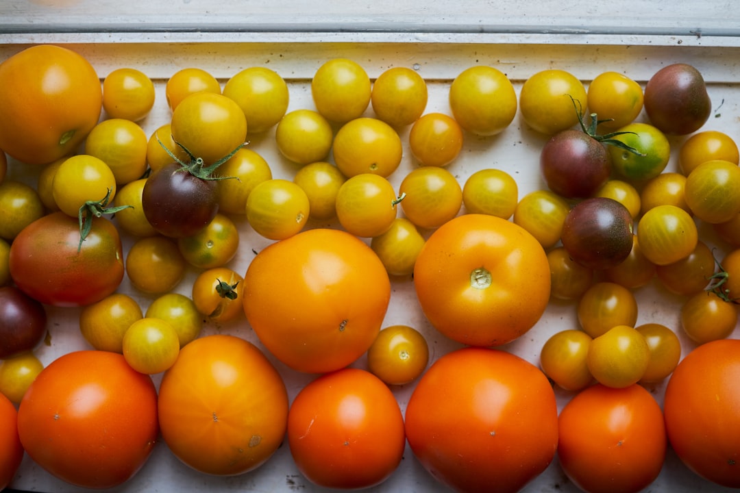 蔬果營養師推薦] 一天吃五顆小番茄，健康養生沒煩惱！