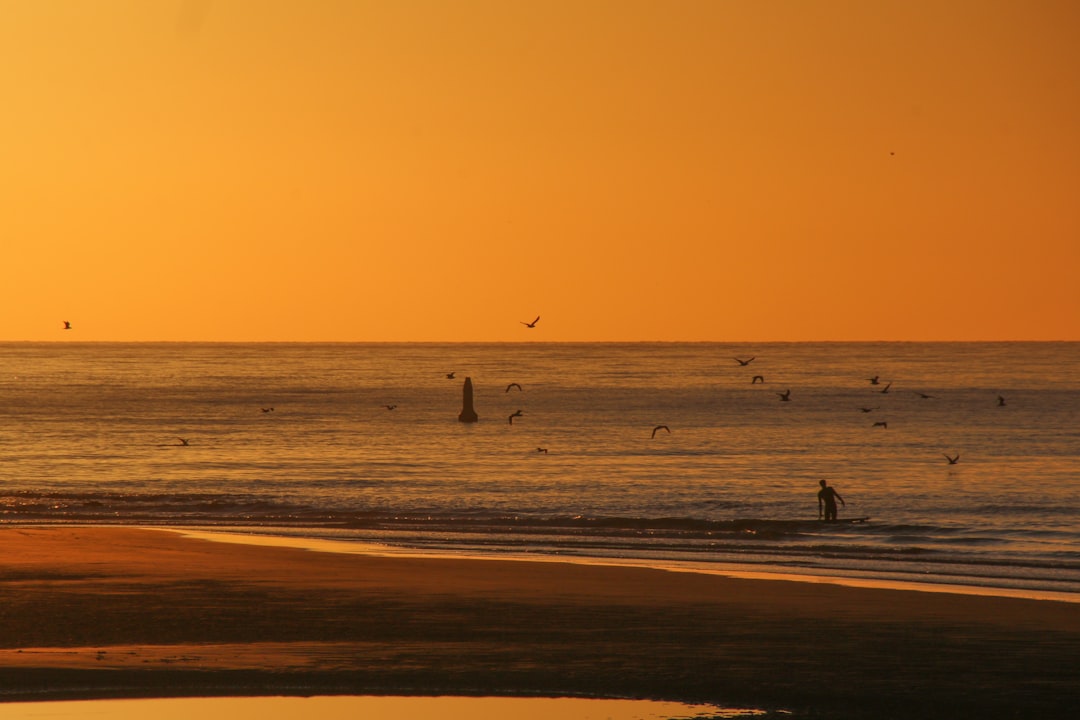 people on beach during sunset