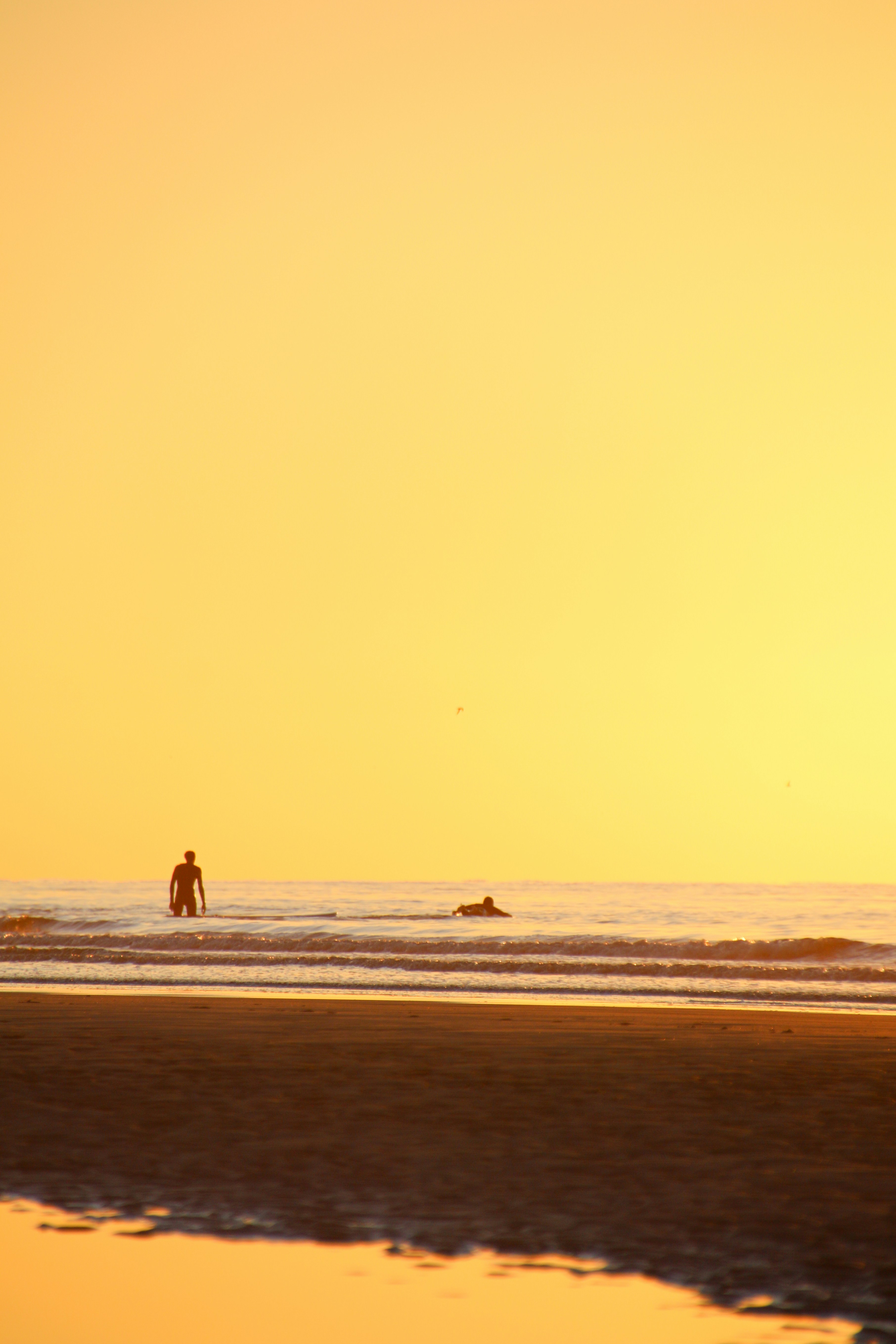 昼間に浜辺を歩く人の写真 Unsplashで見つける海の無料写真