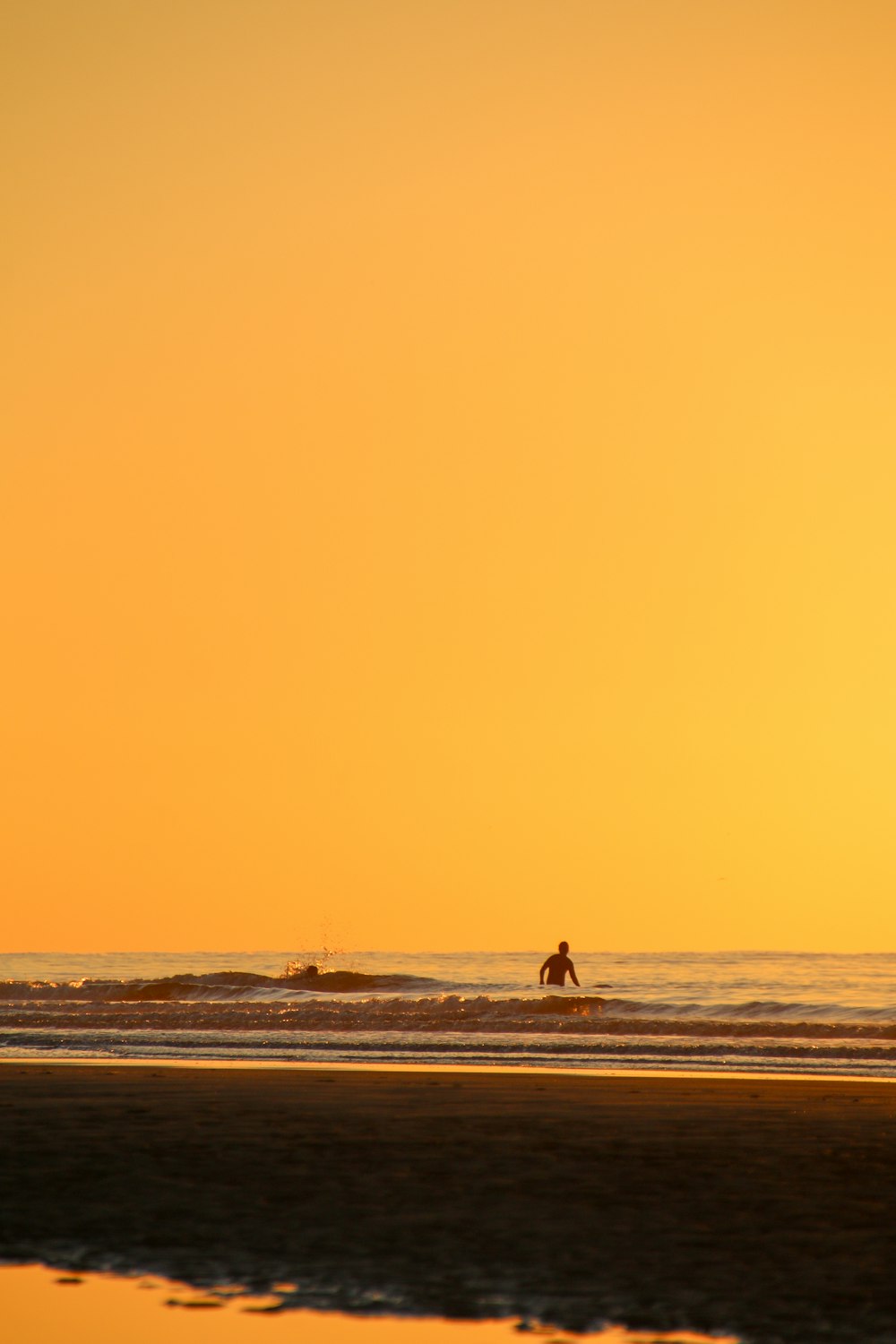 person walking on brown sand during daytime