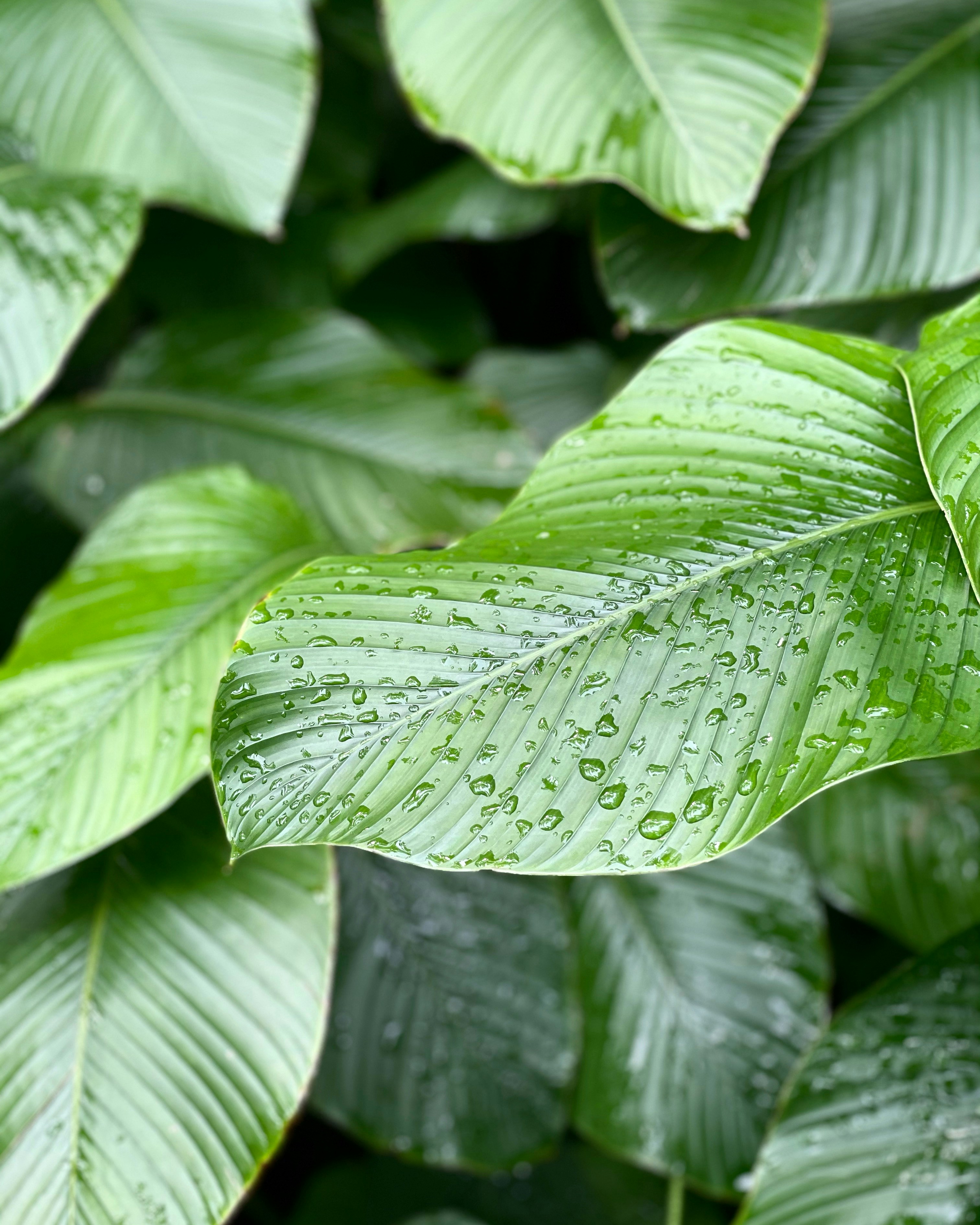 Photo by priyanshareddy93