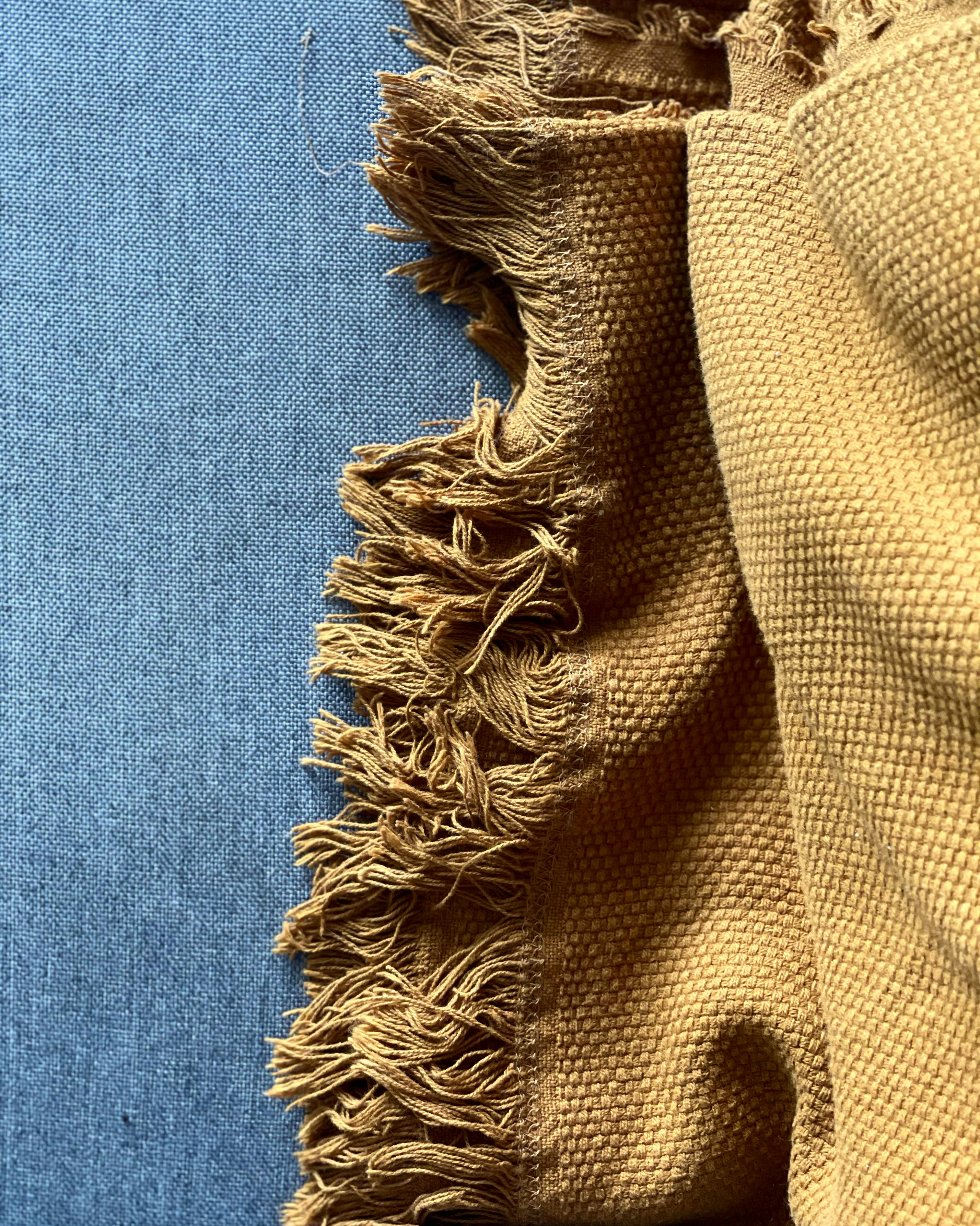 Photo by priyanshareddy93