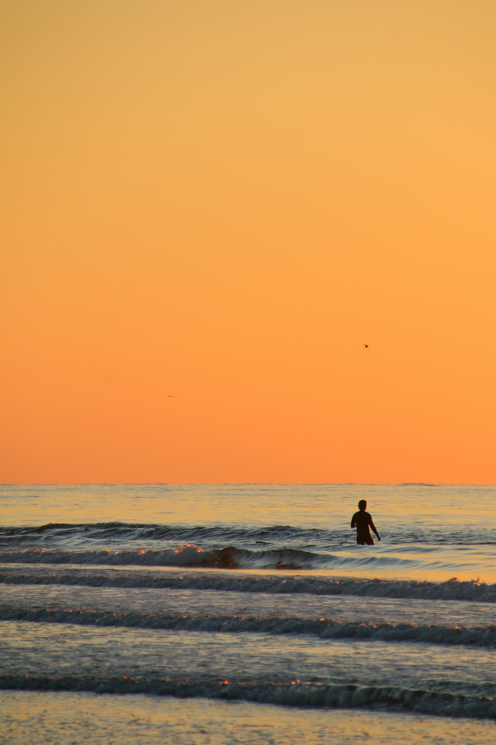 person walking on beach during sunset