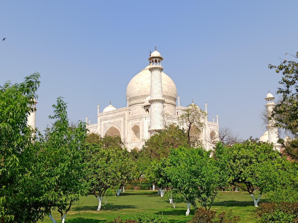 white concrete building near green trees under blue sky during daytime