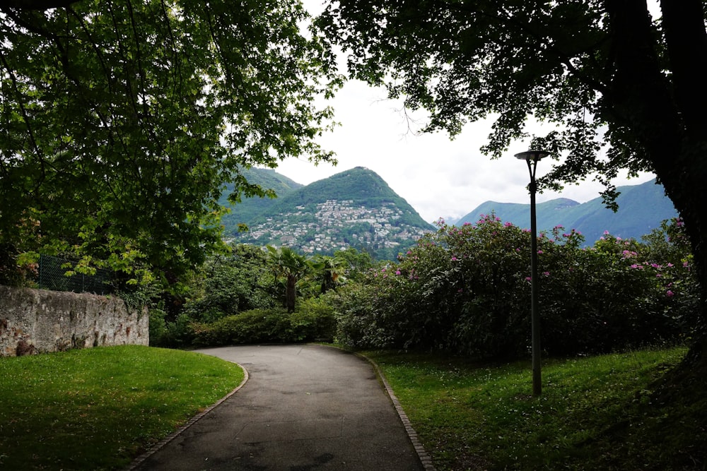 gray concrete road near green trees and mountain during daytime