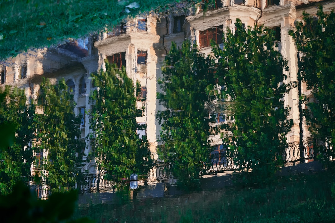 green trees near brown concrete building during daytime