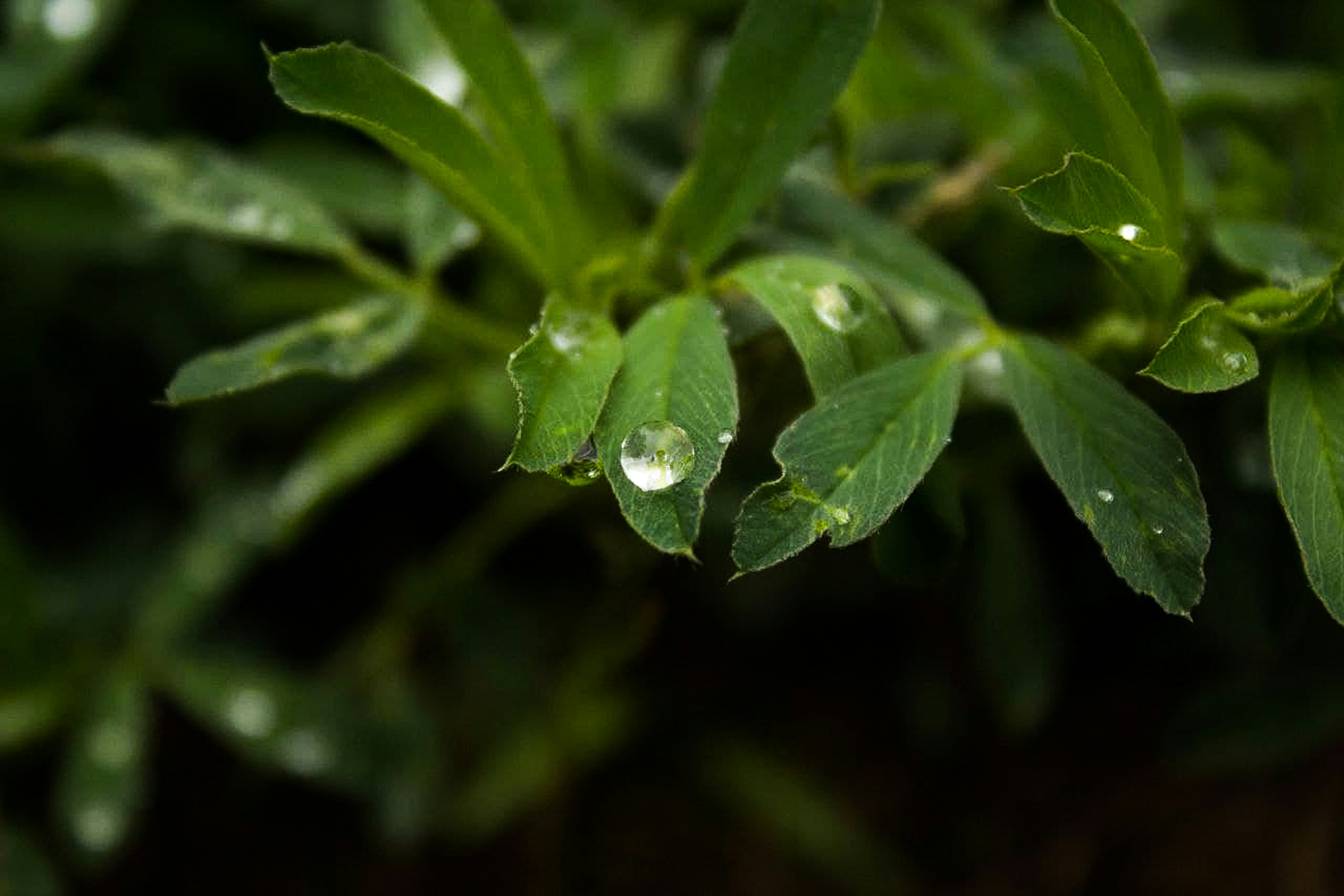 Photo by animgraphlab