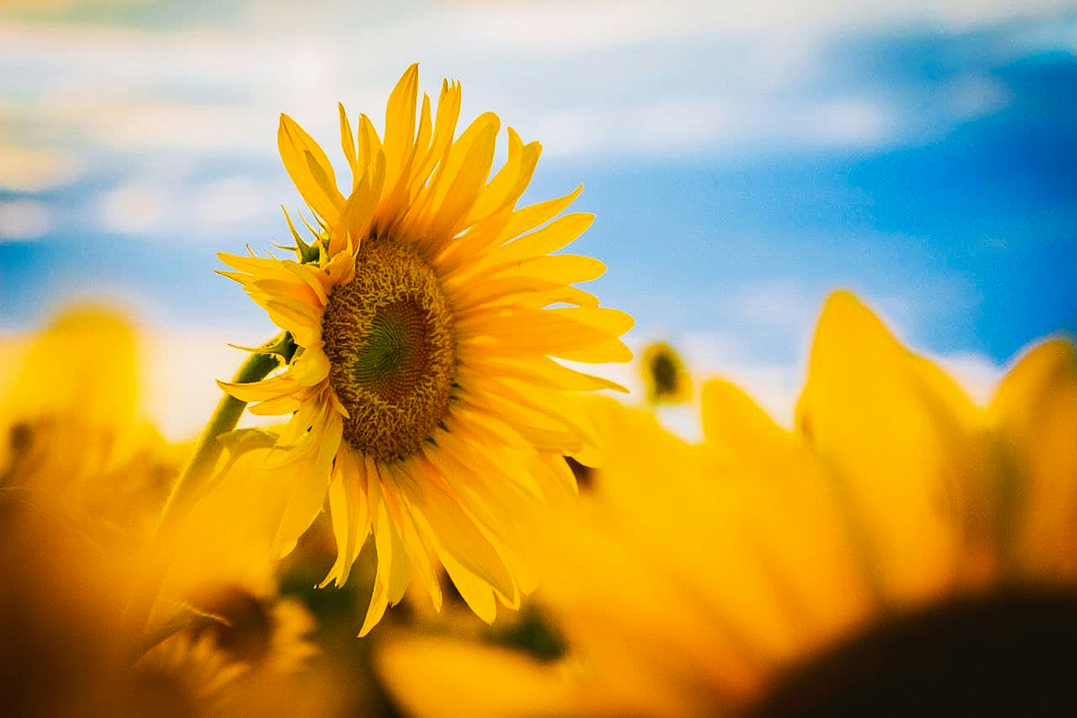 Photo by animgraphlab