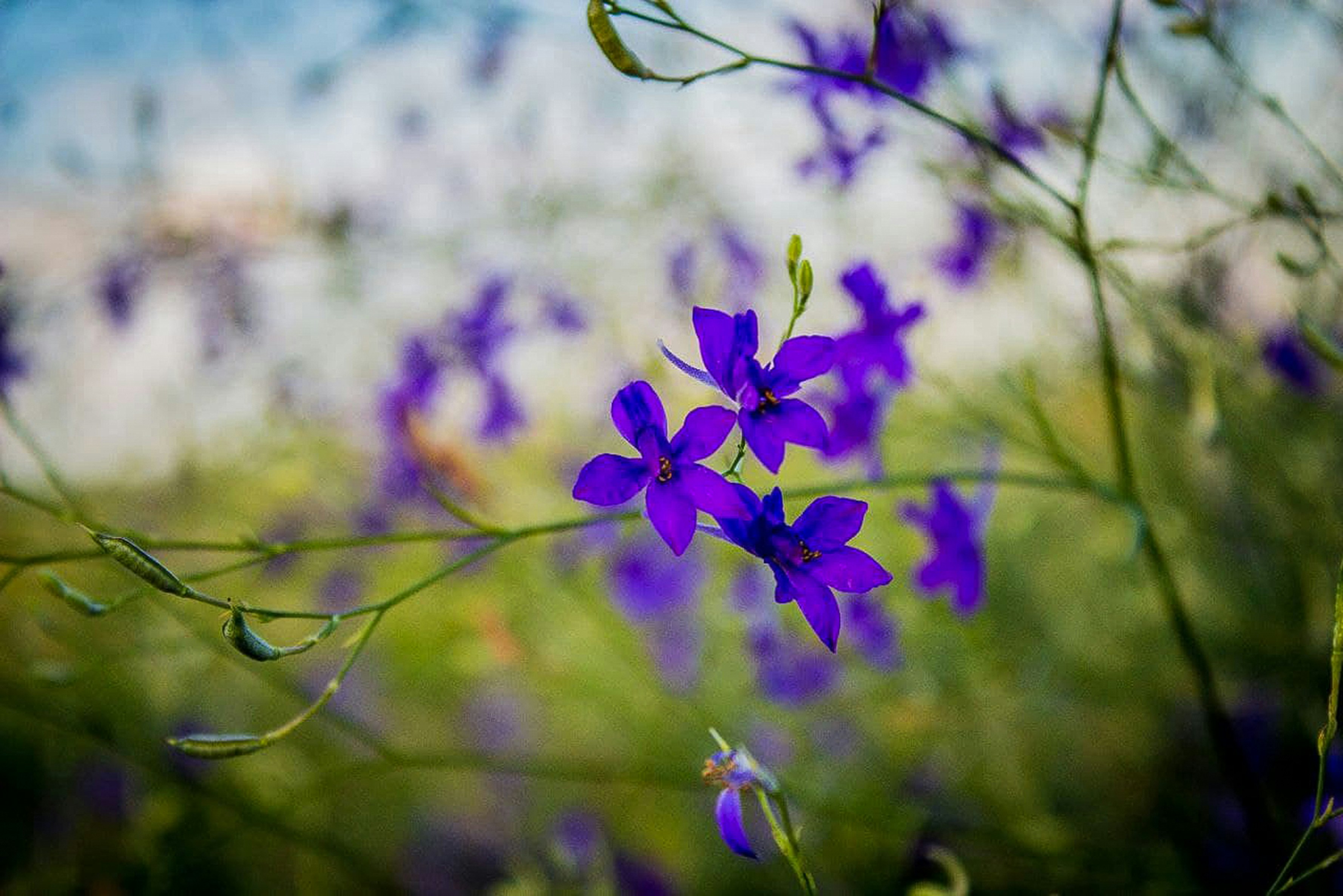 Photo by animgraphlab