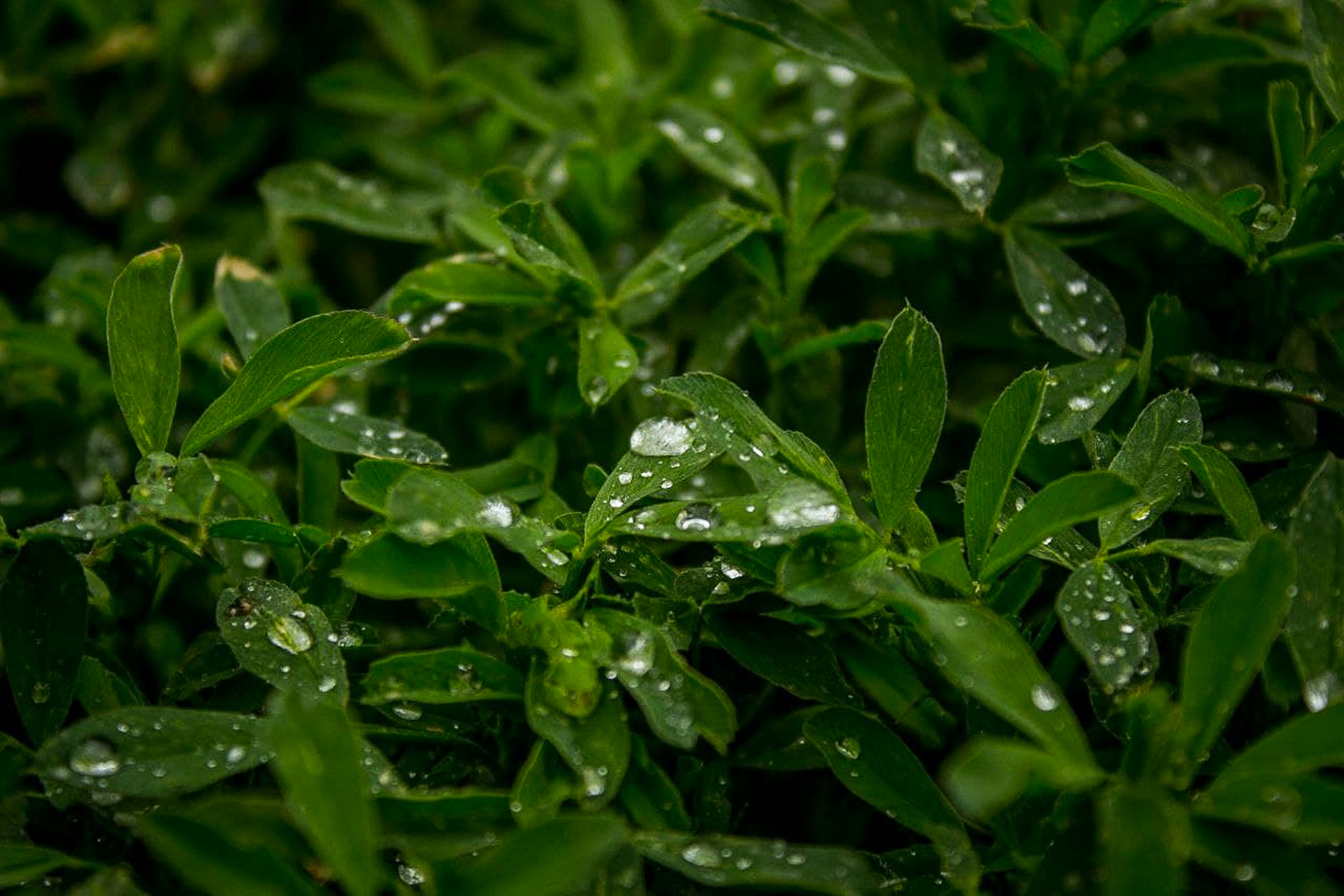 Photo by animgraphlab