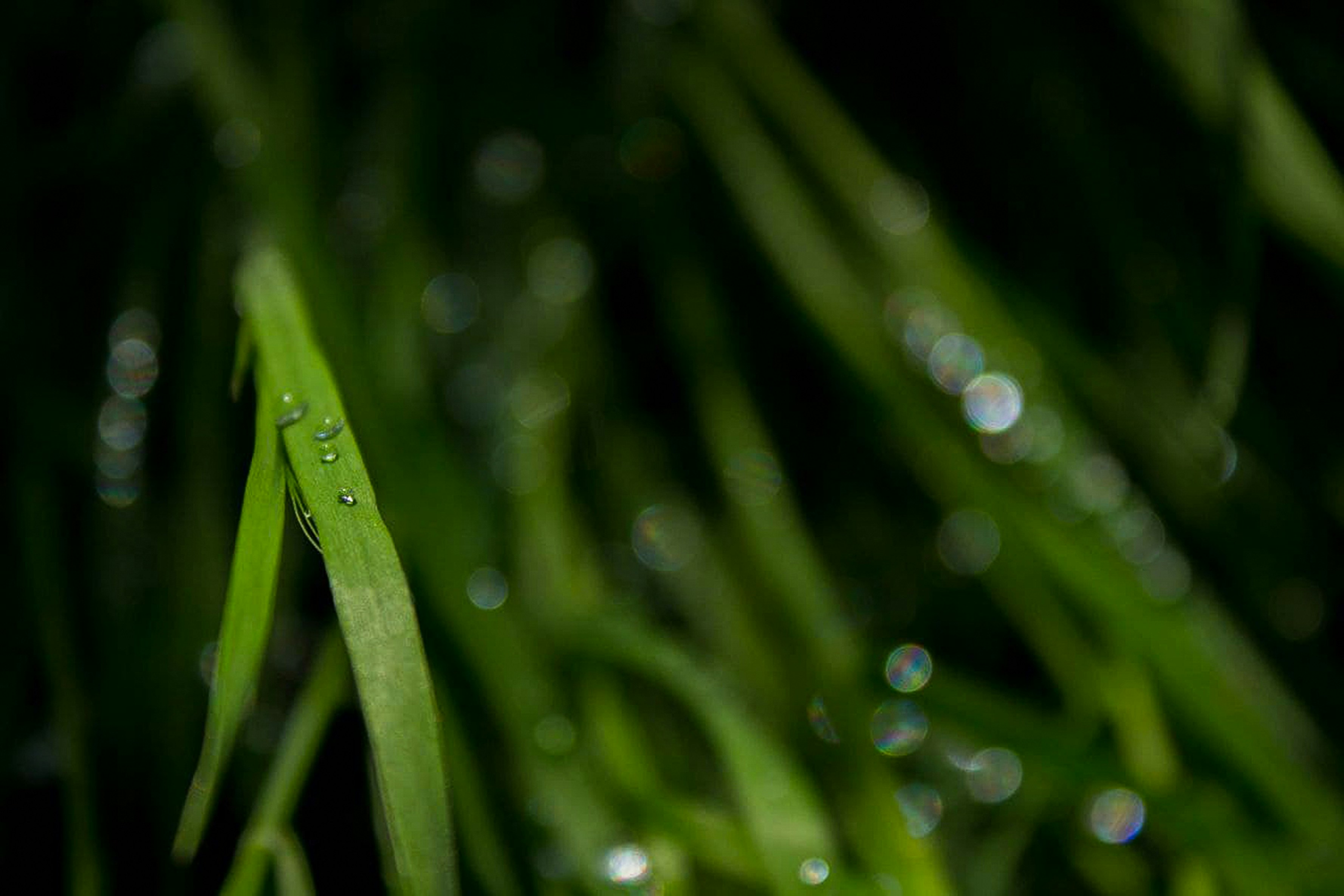 Photo by animgraphlab