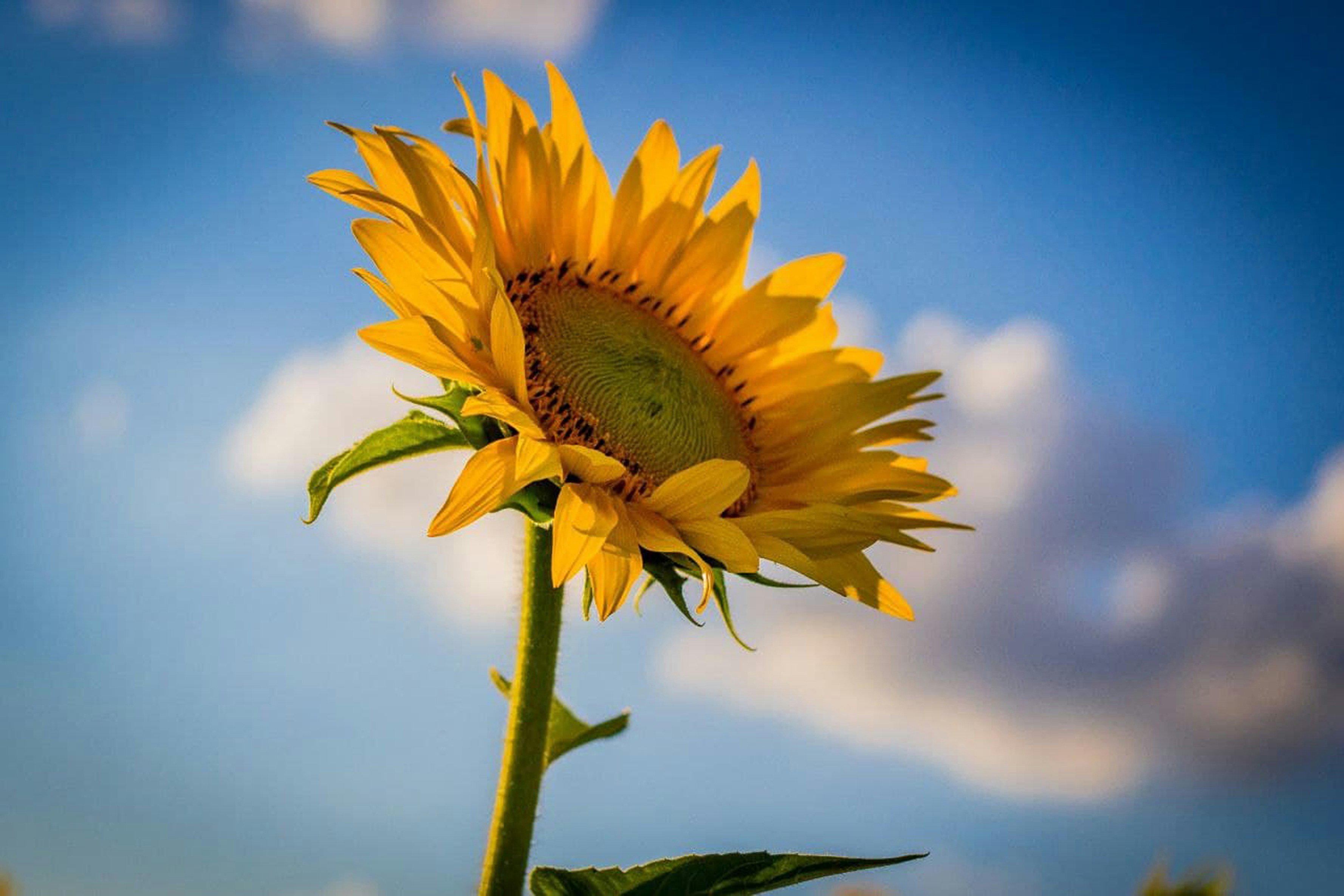 Photo by animgraphlab