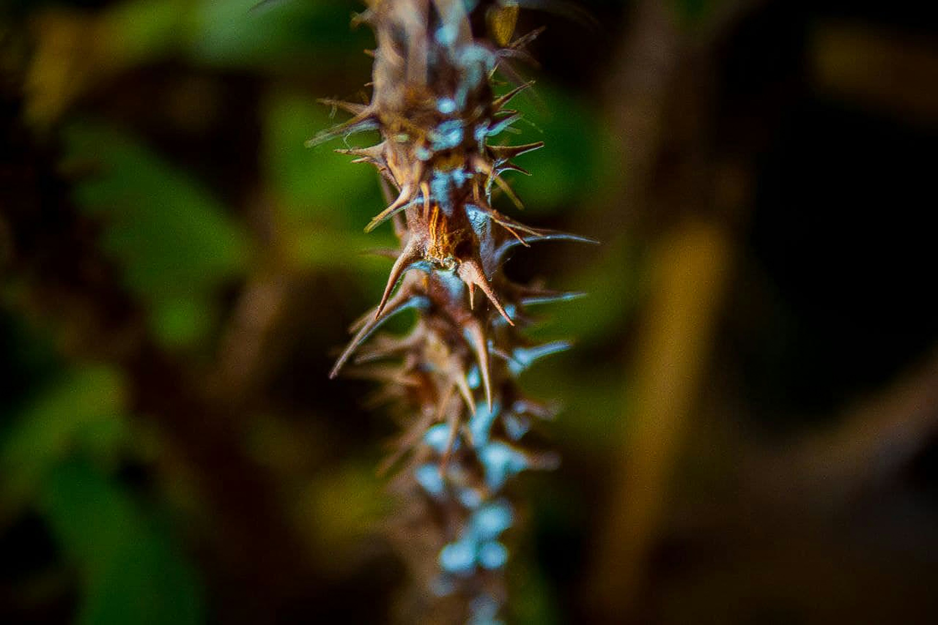 Photo by zizi_zi