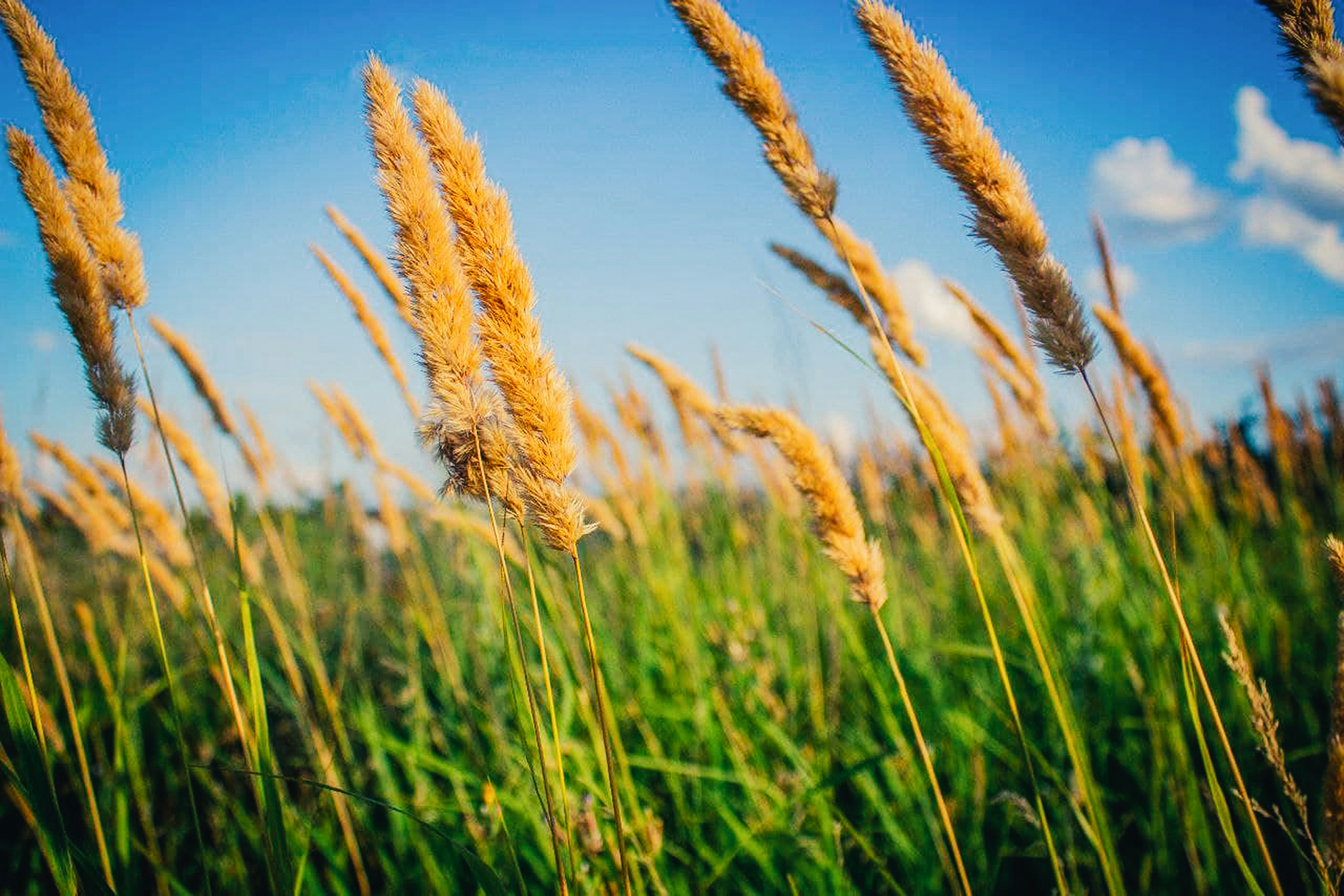 Photo by animgraphlab