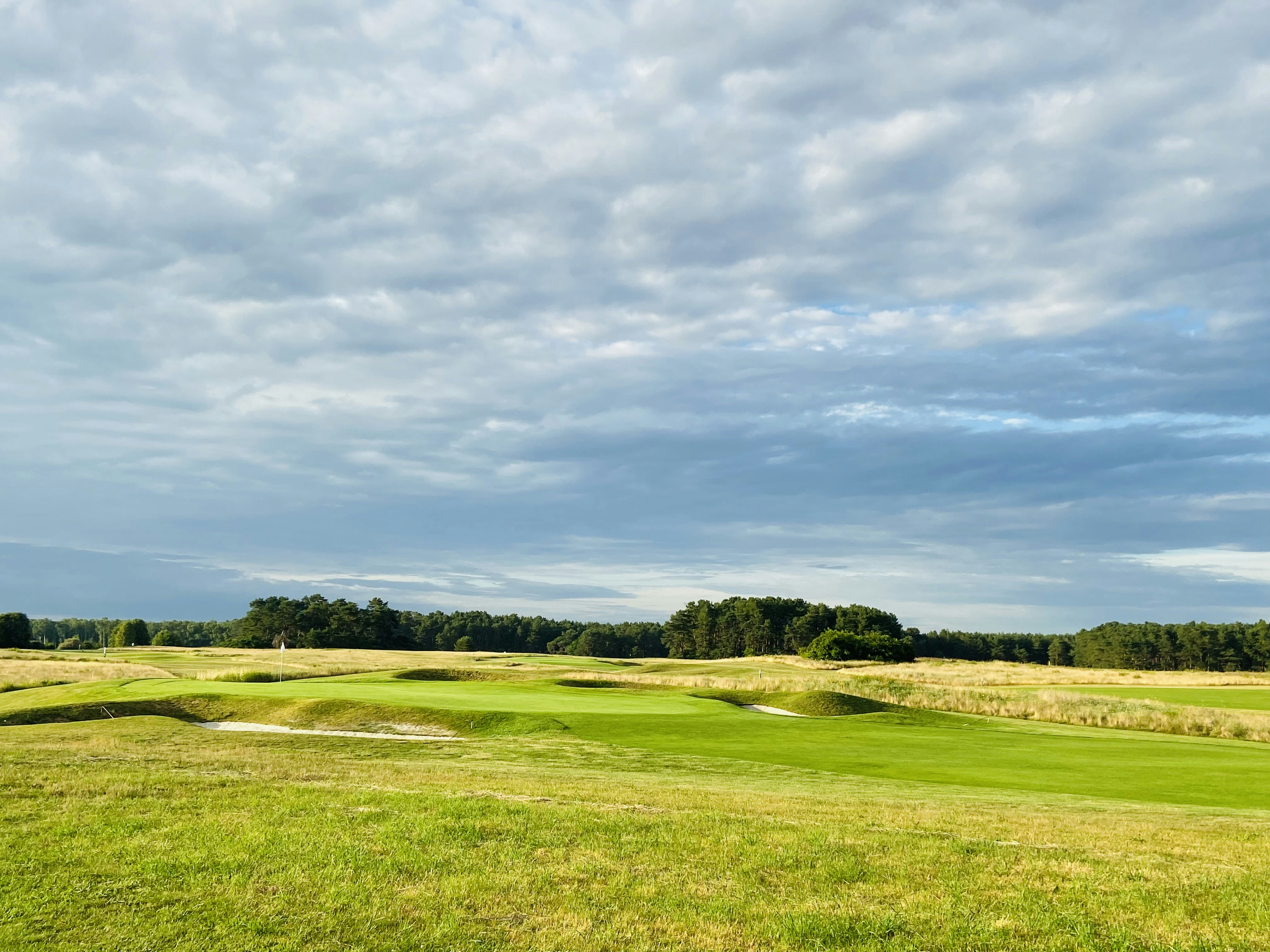 Photo by jonasfromberlin