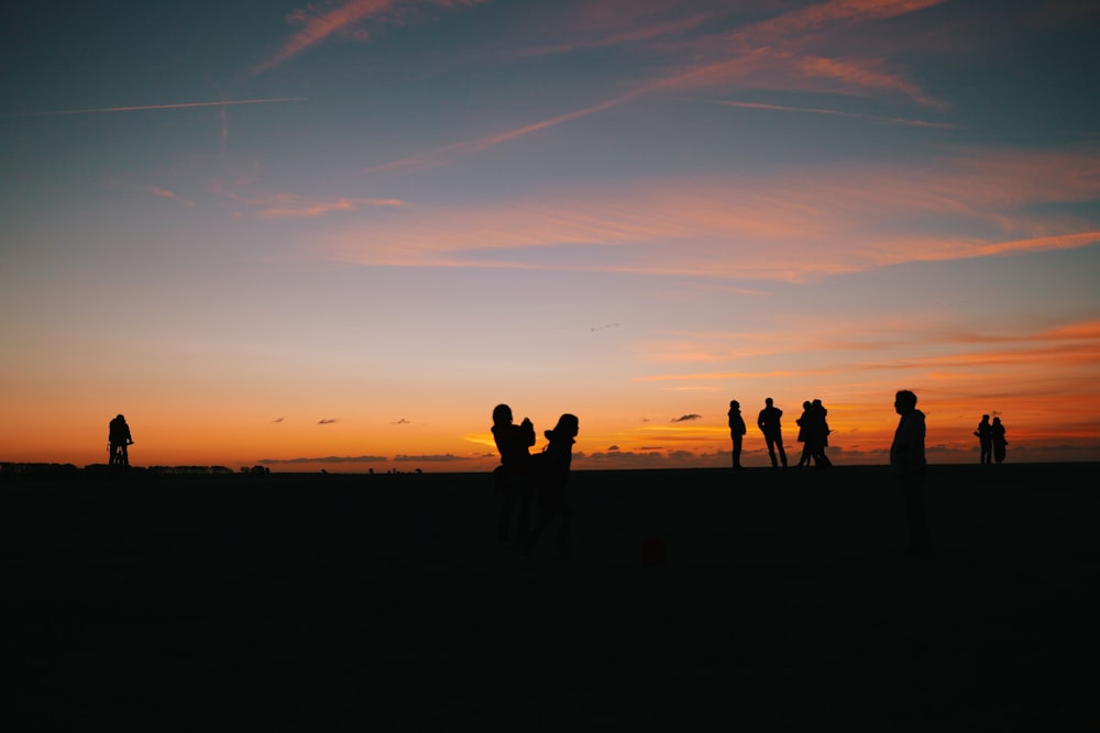 silhouette of people standing on field during sunset