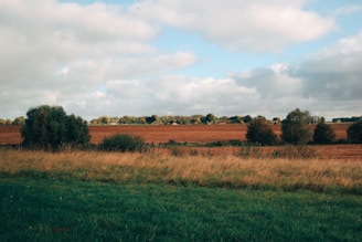 A wide expanse of farmland stretches out under a partly cloudy sky. The foreground is a vibrant green grass field, leading to a midground of tall golden-brown grasses. Beyond that lies a large plowed field of dark earth, bordered by clusters of trees.