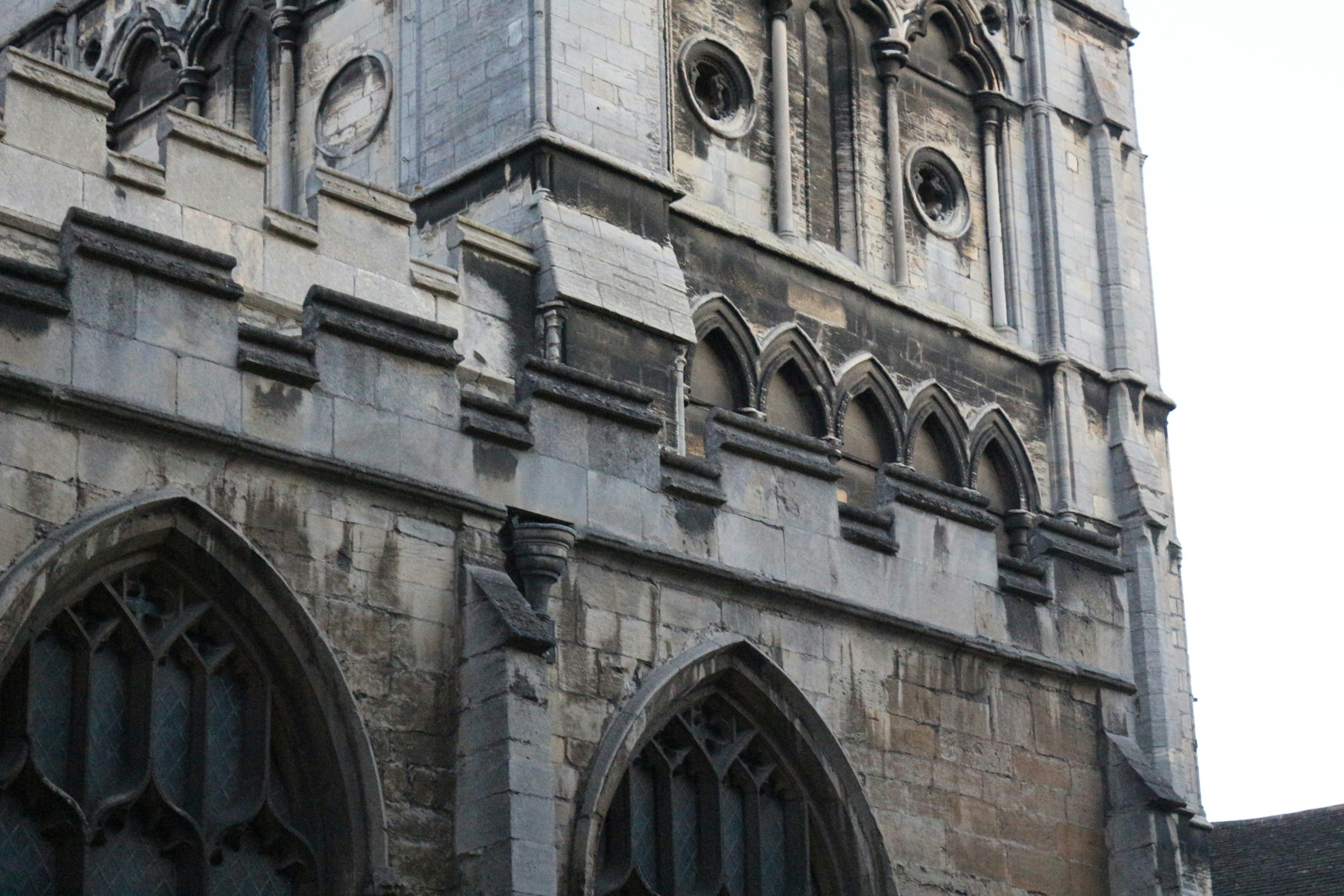 Photo by lidia_nikole