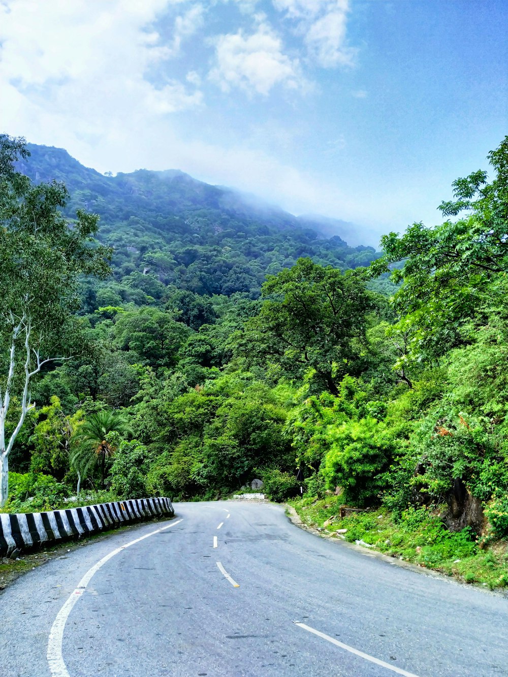 gray concrete road between green trees during daytime